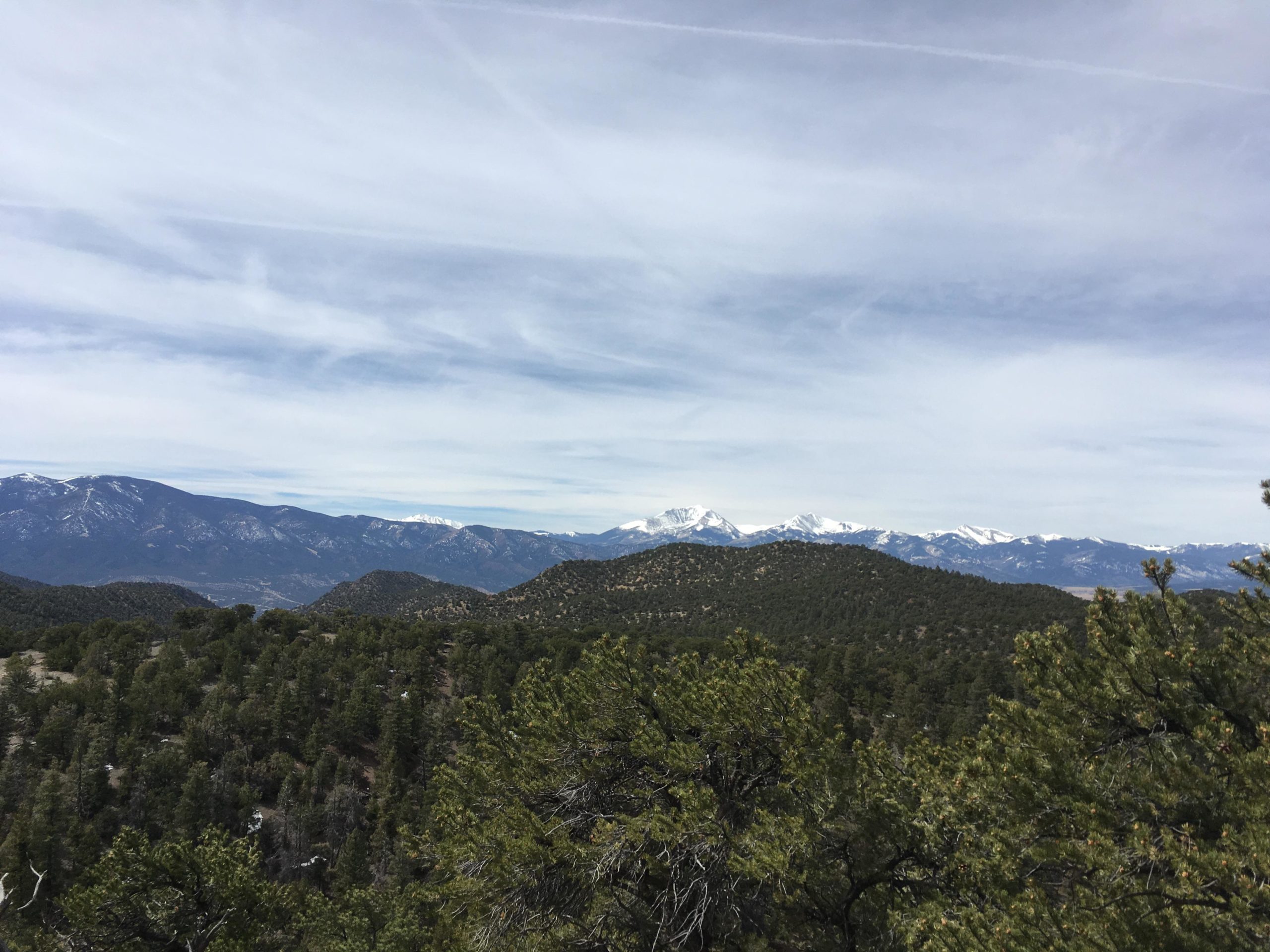 A panoramic view of snow-capped mountains in the distance, surrounded by a lush green landscape of pine trees and rolling hills under a partly cloudy sky. Cottonwood mountain bike trail.