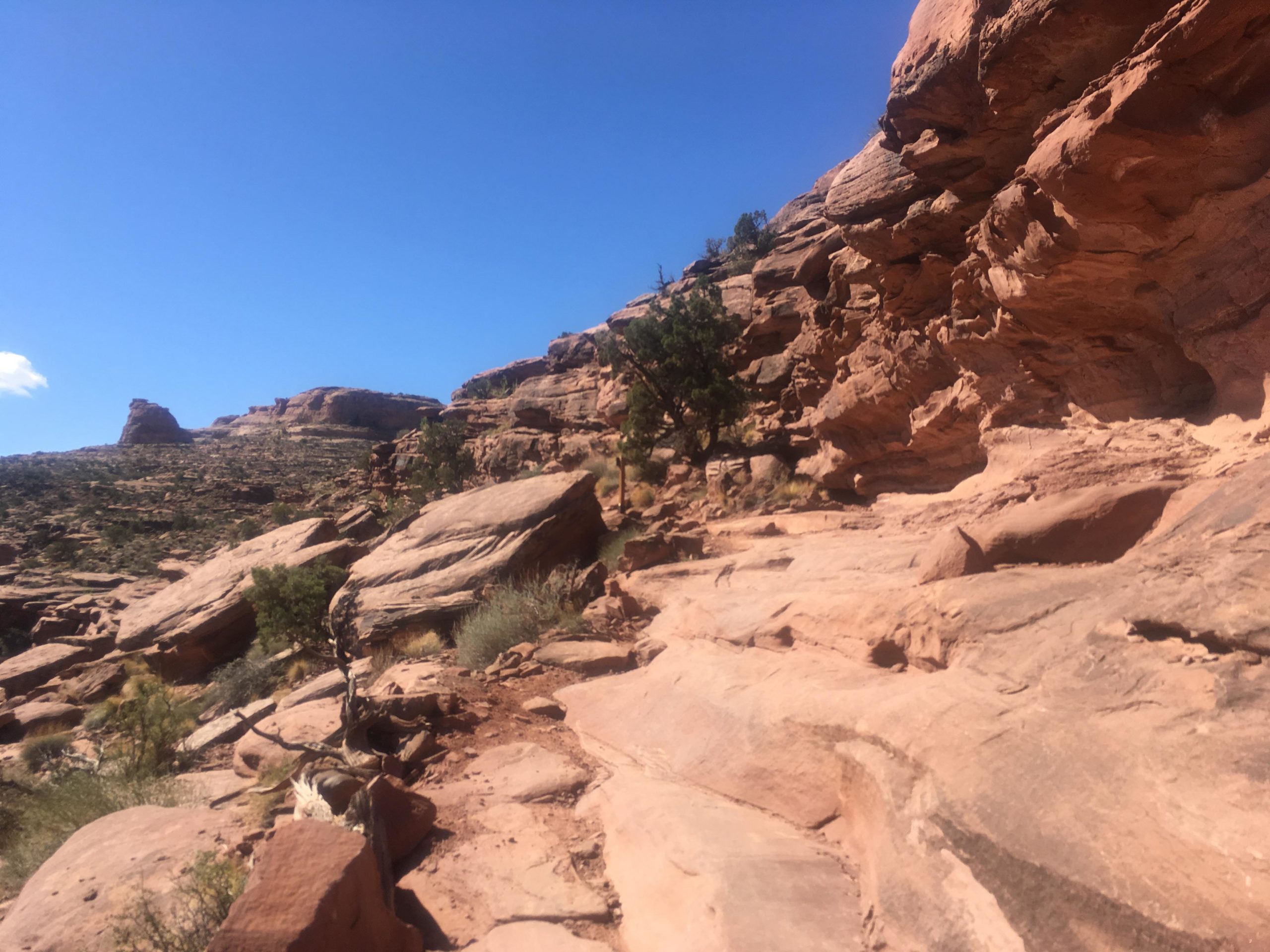 A scenic view of a rocky landscape with sandstone formations under a clear blue sky, showcasing a winding trail among large boulders and sparse vegetation. Captain Ahab mountain bike trail.