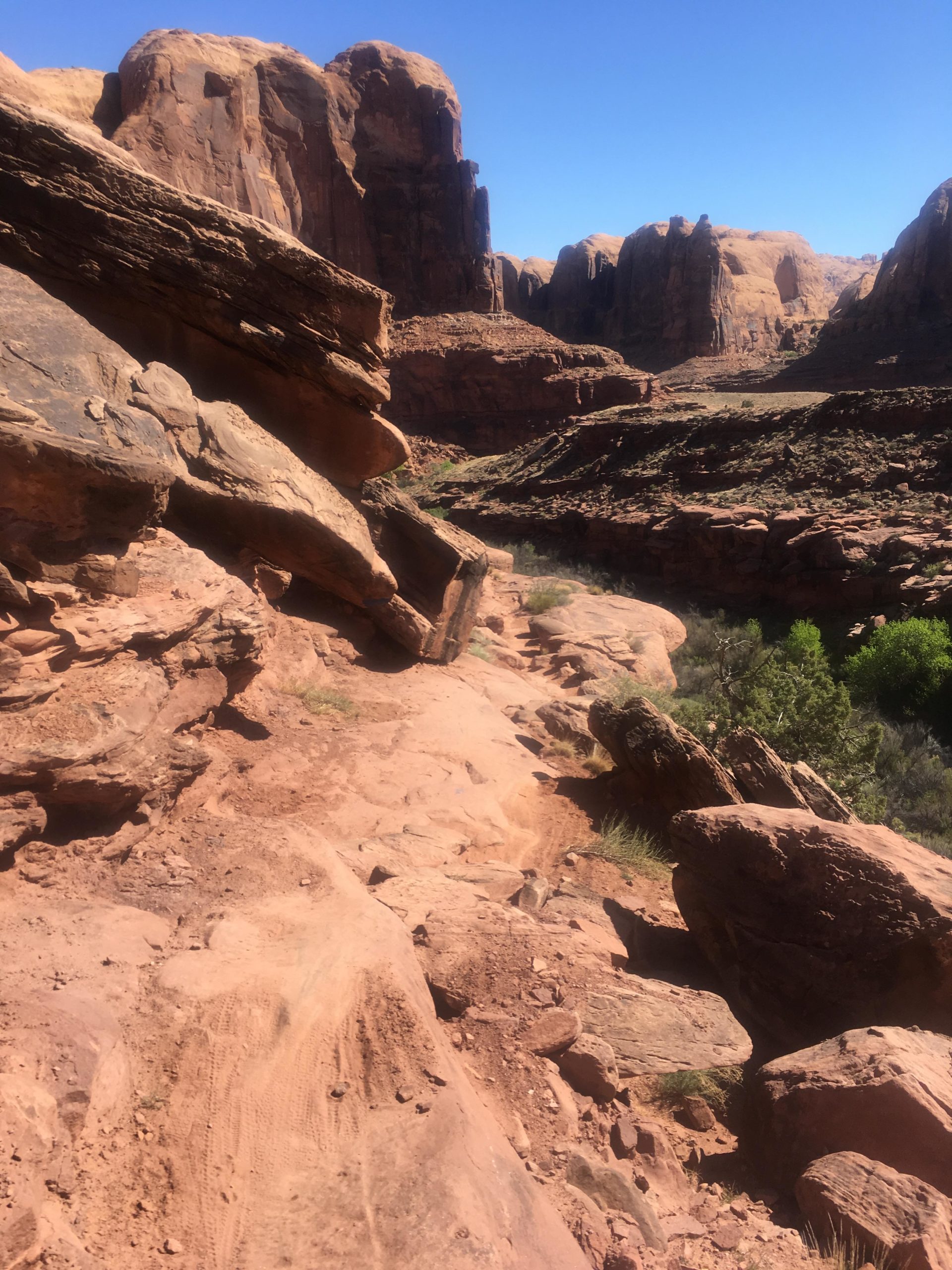 Rocky trail winding through a desert landscape, featuring towering sandstone formations and a clear blue sky. Sporadic greenery can be seen in the lower part of the image, contrasting with the red rock terrain. Captain Ahab mountain bike trail.