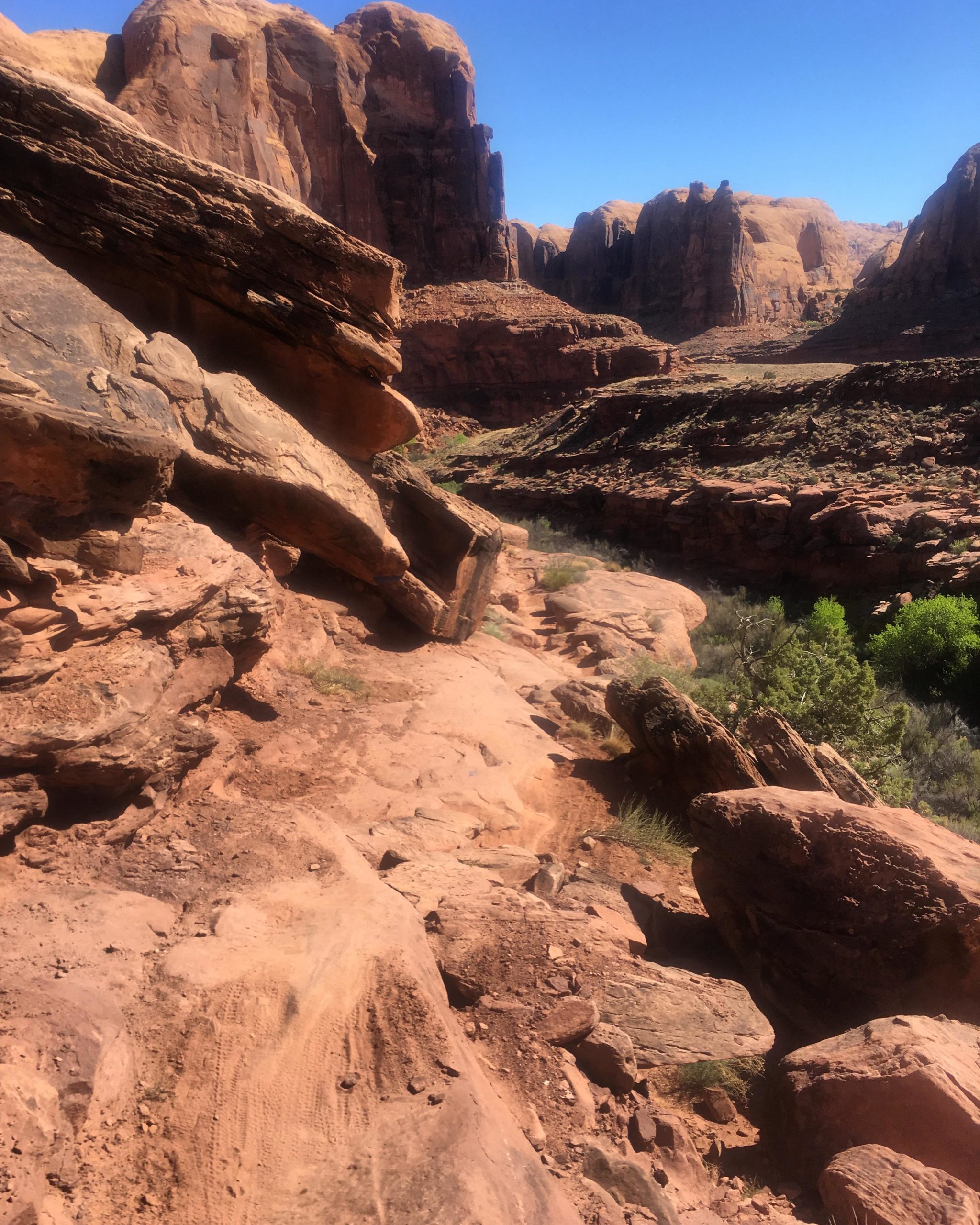 A rocky trail winding through red rock formations and canyons under a clear blue sky. The landscape features large boulders and compacted earth, with sparse vegetation visible in the surrounding areas. Captain Ahab mountain bike trail.