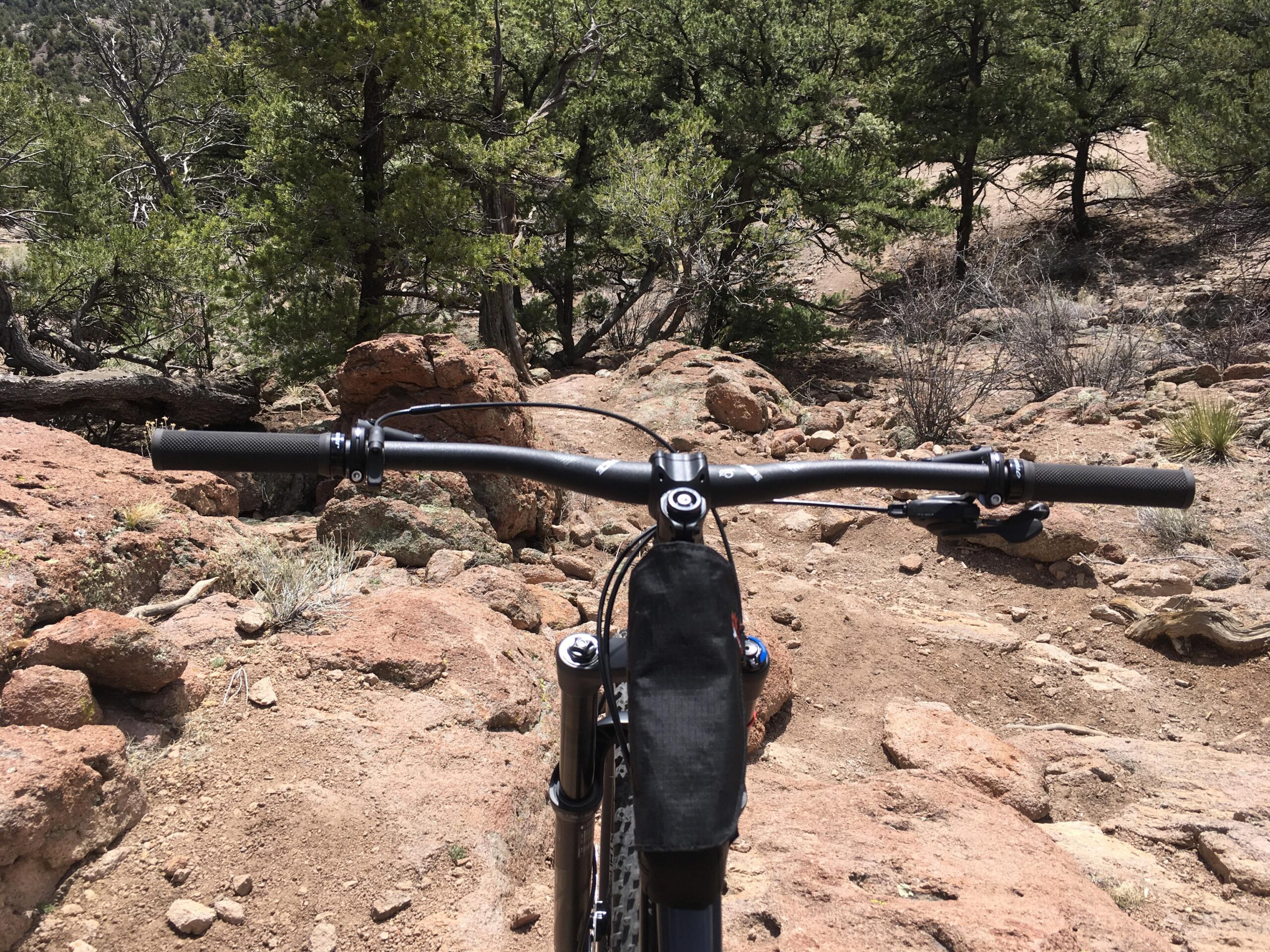Niner RIP 9: Mountain bike handlebars are prominently displayed in the foreground, set against a rugged, rocky terrain with scattered boulders and sparse vegetation. The background features tall trees and a dirt pathway, suggesting an outdoor trail environment.