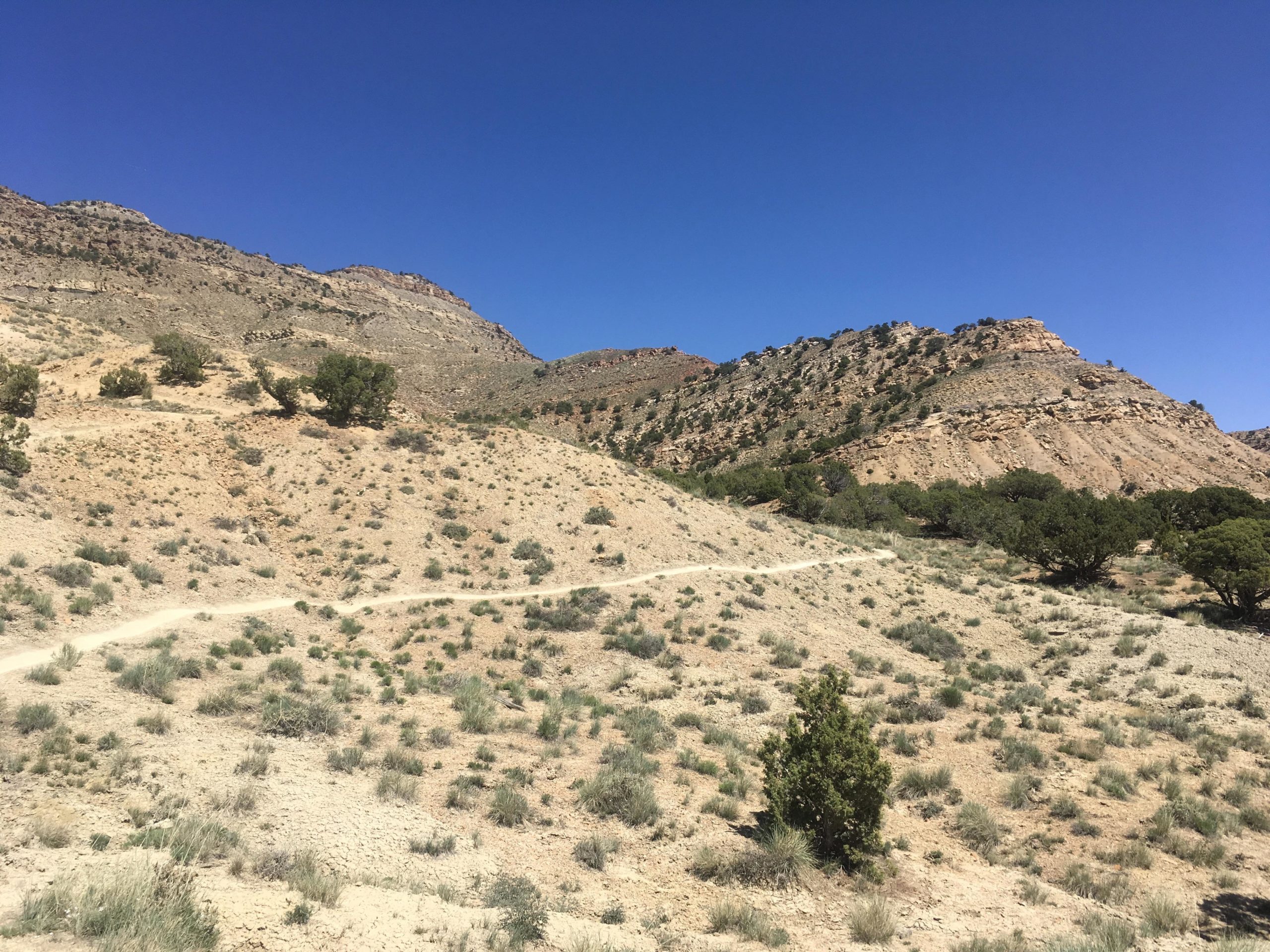 A rugged landscape featuring rolling hills and sparse vegetation, with a dirt path winding through the terrain. The scene is under a clear blue sky, highlighting the natural beauty of the arid environment. 18 Road Trails / North Fruita Desert mountain bike trail.