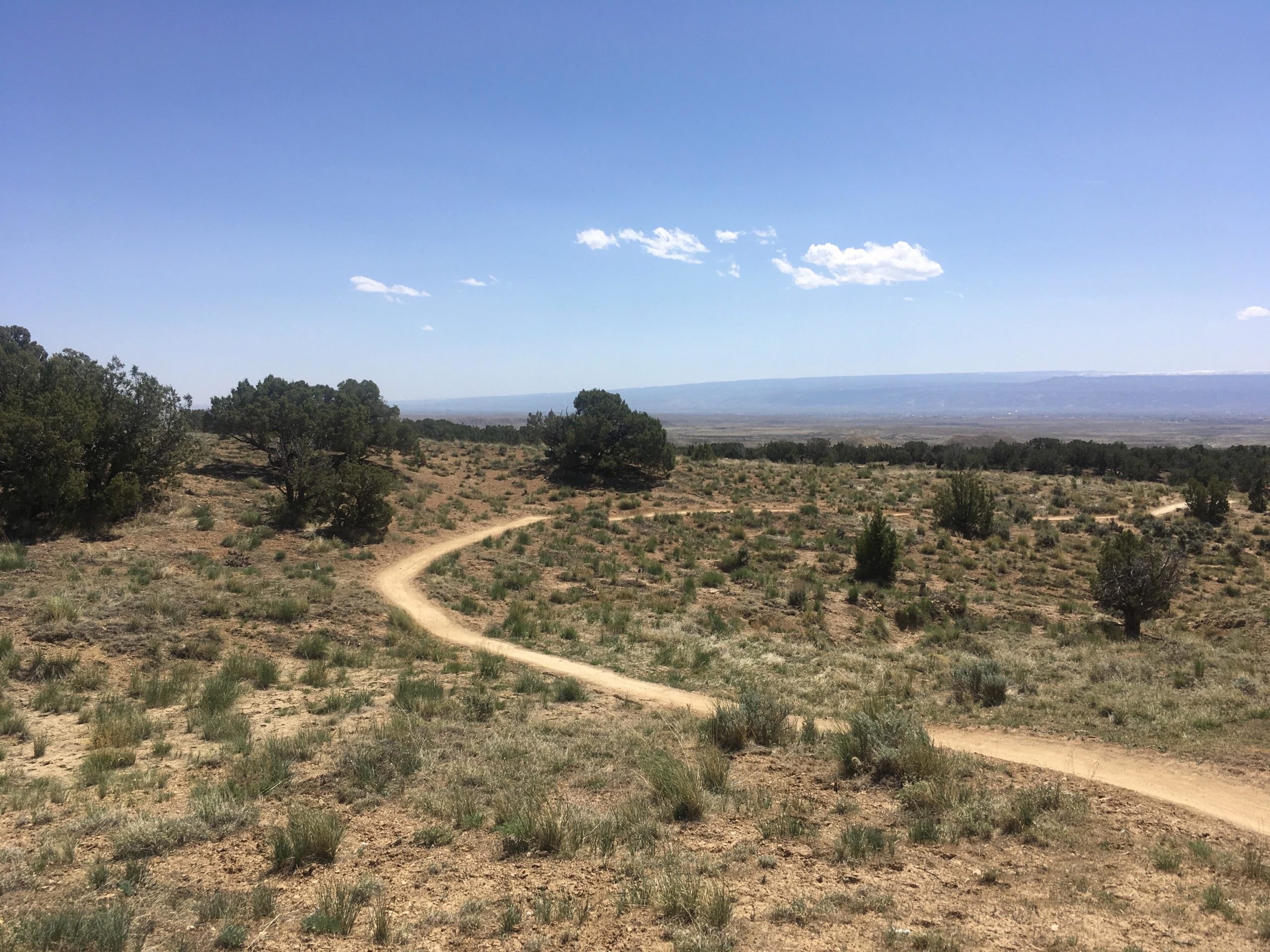 A winding dirt path leads through a sunny, arid landscape filled with scattered shrubs and low greenery, under a clear blue sky. In the distance, rolling hills fade into the horizon. 18 Road Trails / North Fruita Desert mountain bike trail.