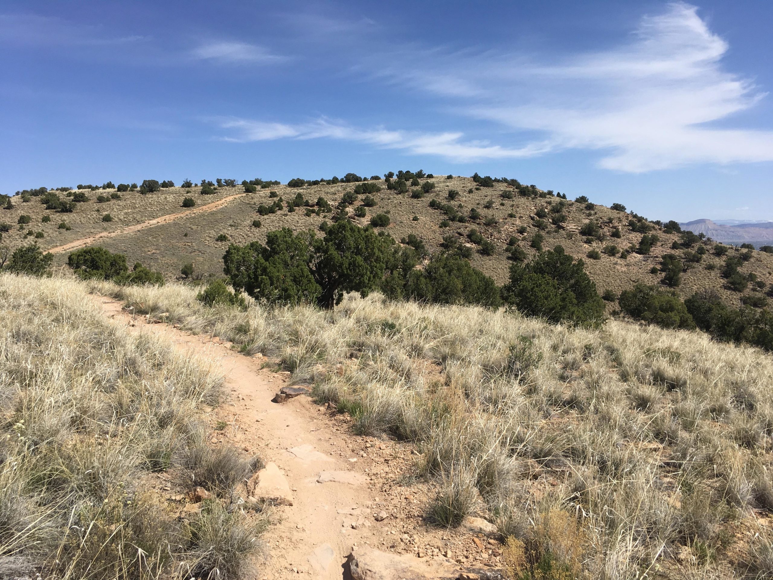 A dirt hiking trail leads through dry grasslands towards a gently sloping hill, dotted with small shrubs under a bright blue sky with wispy clouds. The landscape is arid, showcasing natural beauty and a serene outdoor environment. 18 Road Trails / North Fruita Desert mountain bike trail.