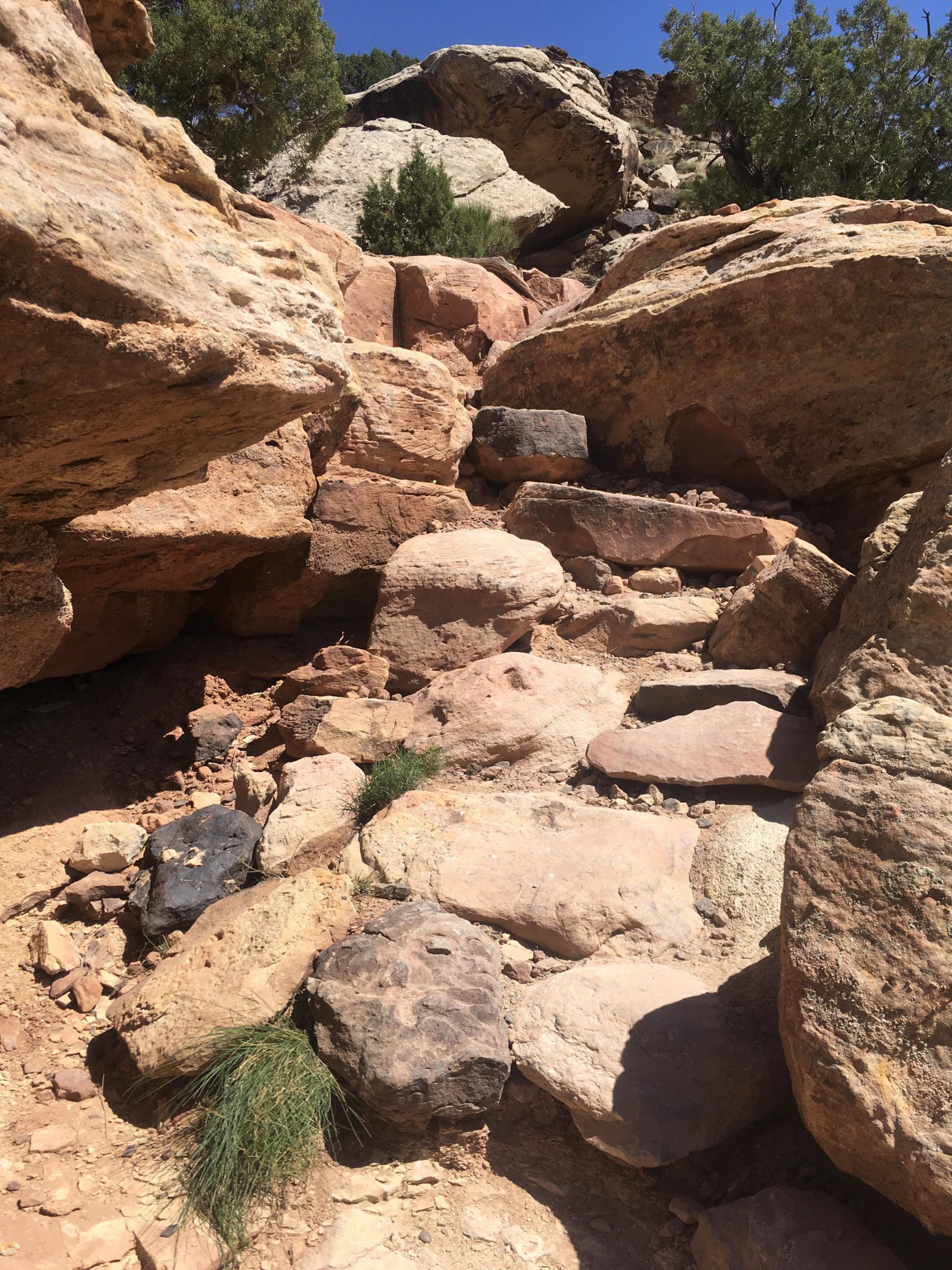 A rocky trail leading upwards, surrounded by large boulders and patches of green grass. The sunlight casts shadows on the terrain, with a clear blue sky visible above. Lunch Loops mountain bike trail.