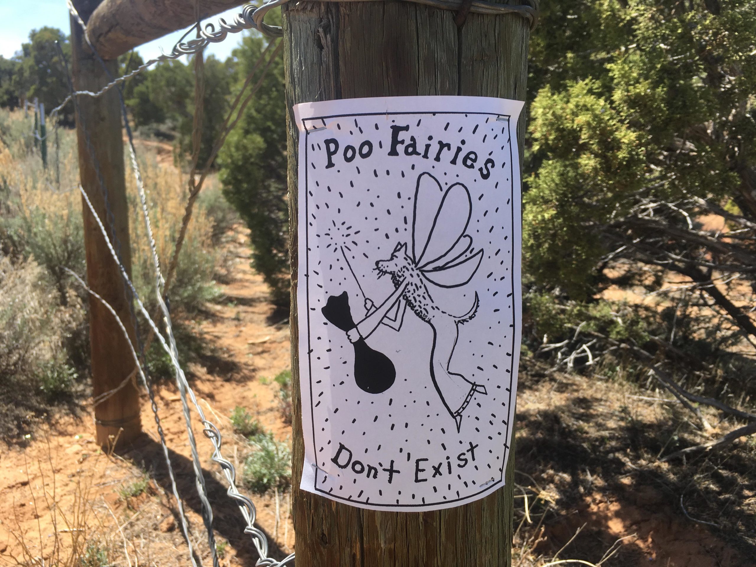 A hand-drawn sign attached to a wooden fence post, featuring the text "Poo Fairies Don't Exist." The illustration shows a whimsical figure with wings, resembling a fairy, holding a bag, with playful lines radiating around them. The background includes dry grass and shrubs, suggesting a natural outdoor setting. The Ribbon mountain bike trail.