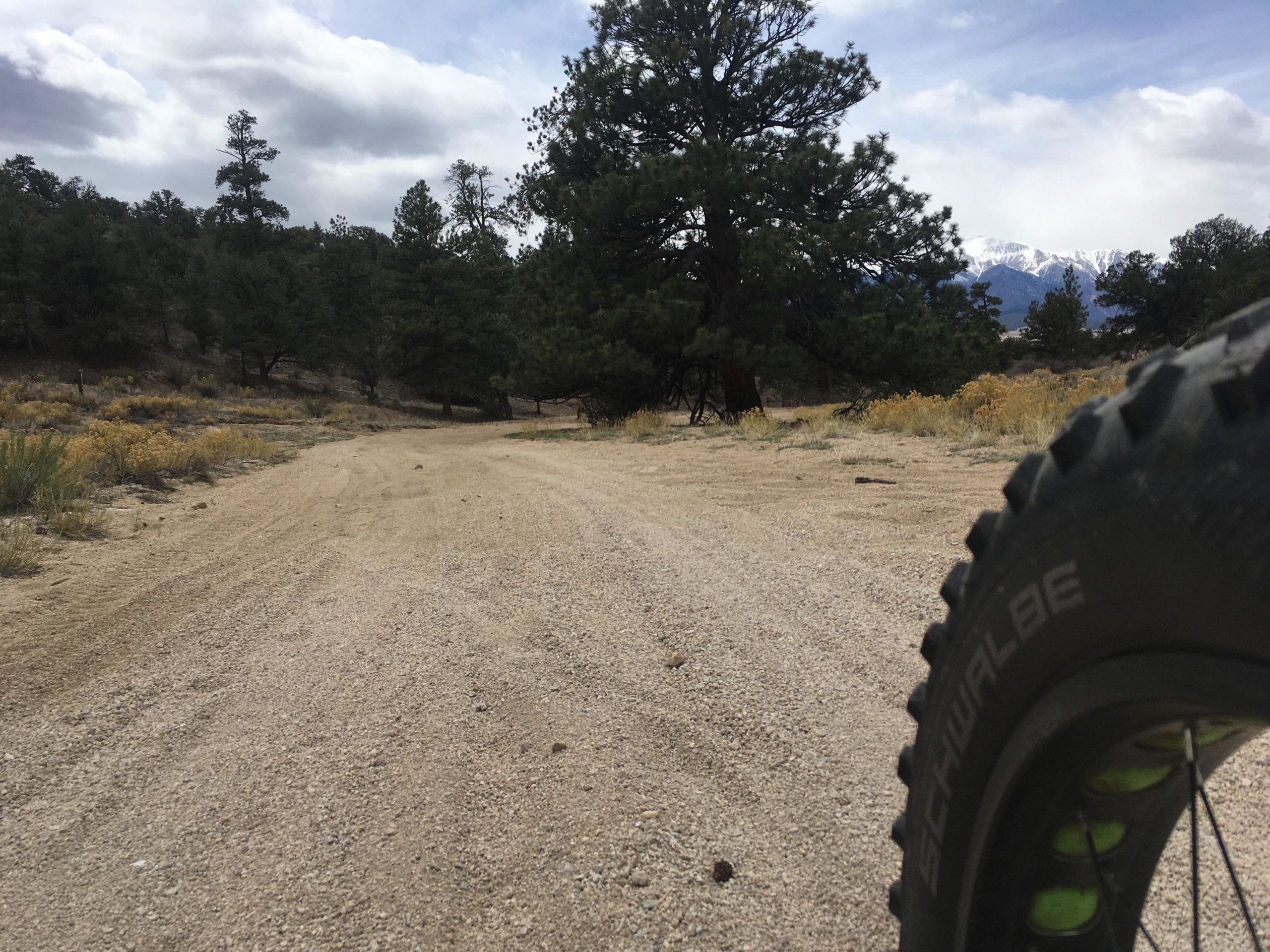 A gravel forest road winding through pine trees, viewed from the perspective of a bicycle tire. In the background, mountains are visible under partly cloudy skies. Yellow wildflowers and sparse vegetation line the road. Bald Mountain Road / #300 mountain bike trail.
