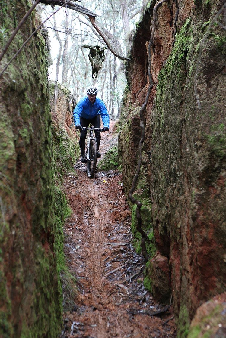 A mountain biker navigating a narrow, muddy trail surrounded by steep, moss-covered earth walls in a forested area. Trees are visible in the background, creating a natural, outdoor setting. Yack Tracks mountain bike trail.