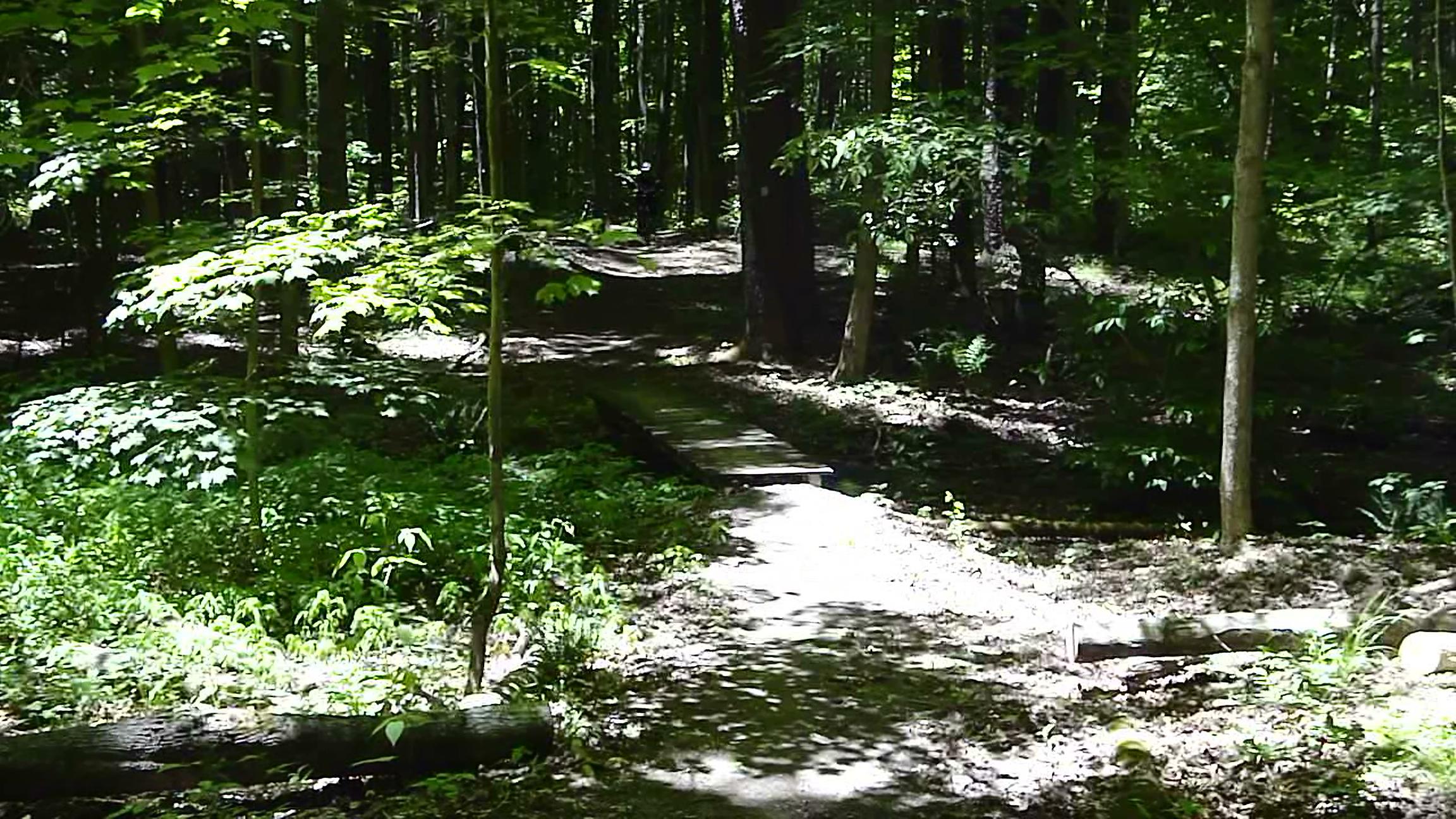 A serene forest path surrounded by lush green foliage and dappled sunlight filtering through the trees. A wooden bridge crosses a narrow section of the trail, inviting exploration into the tranquil woods. Eastside Overland Trail mountain bike trail.
