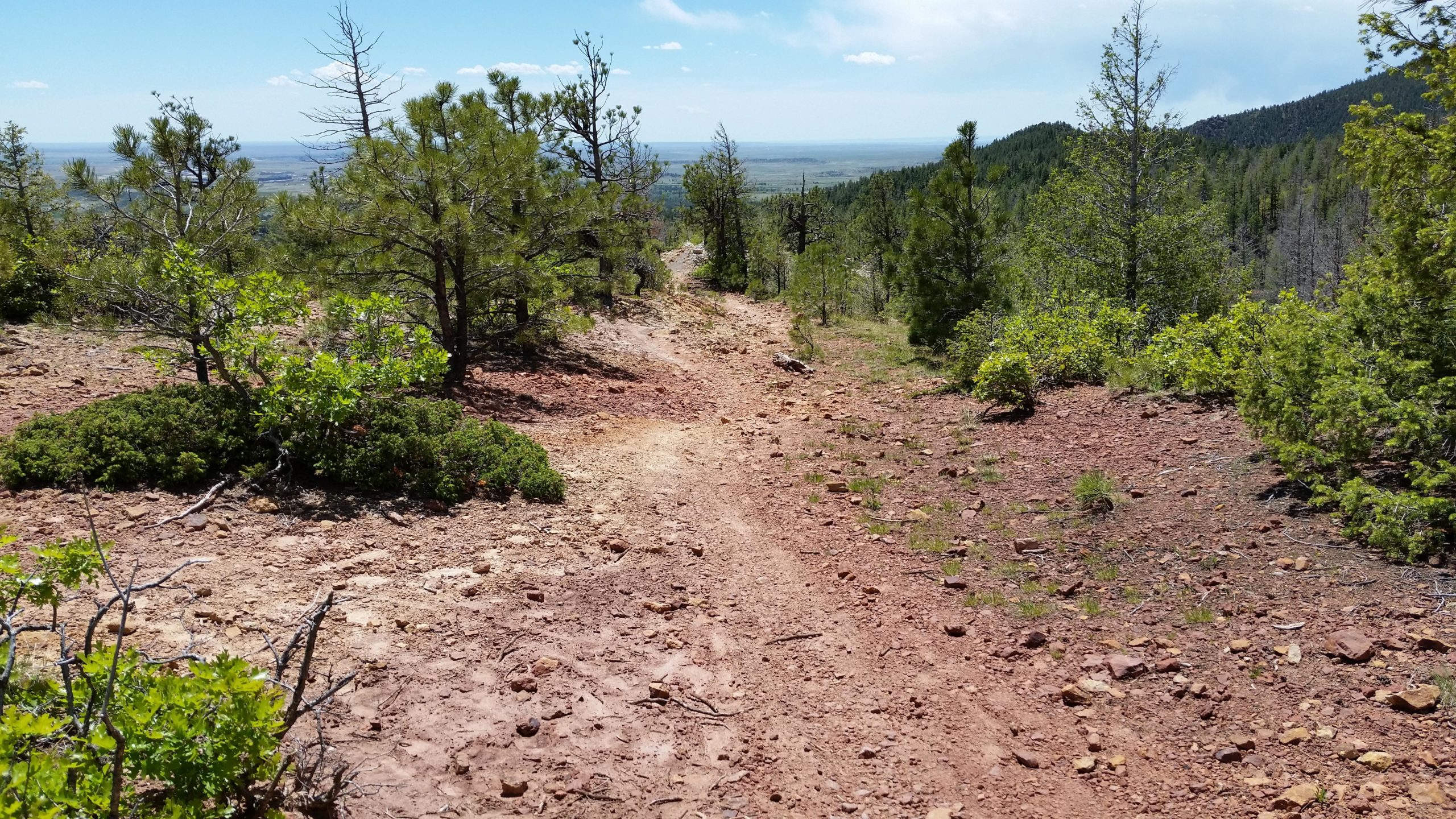 A winding dirt trail cuts through a rocky landscape surrounded by sparse vegetation and trees, leading downhill towards a distant valley under a clear blue sky. Cheyenne Mountain State Park mountain bike trail.