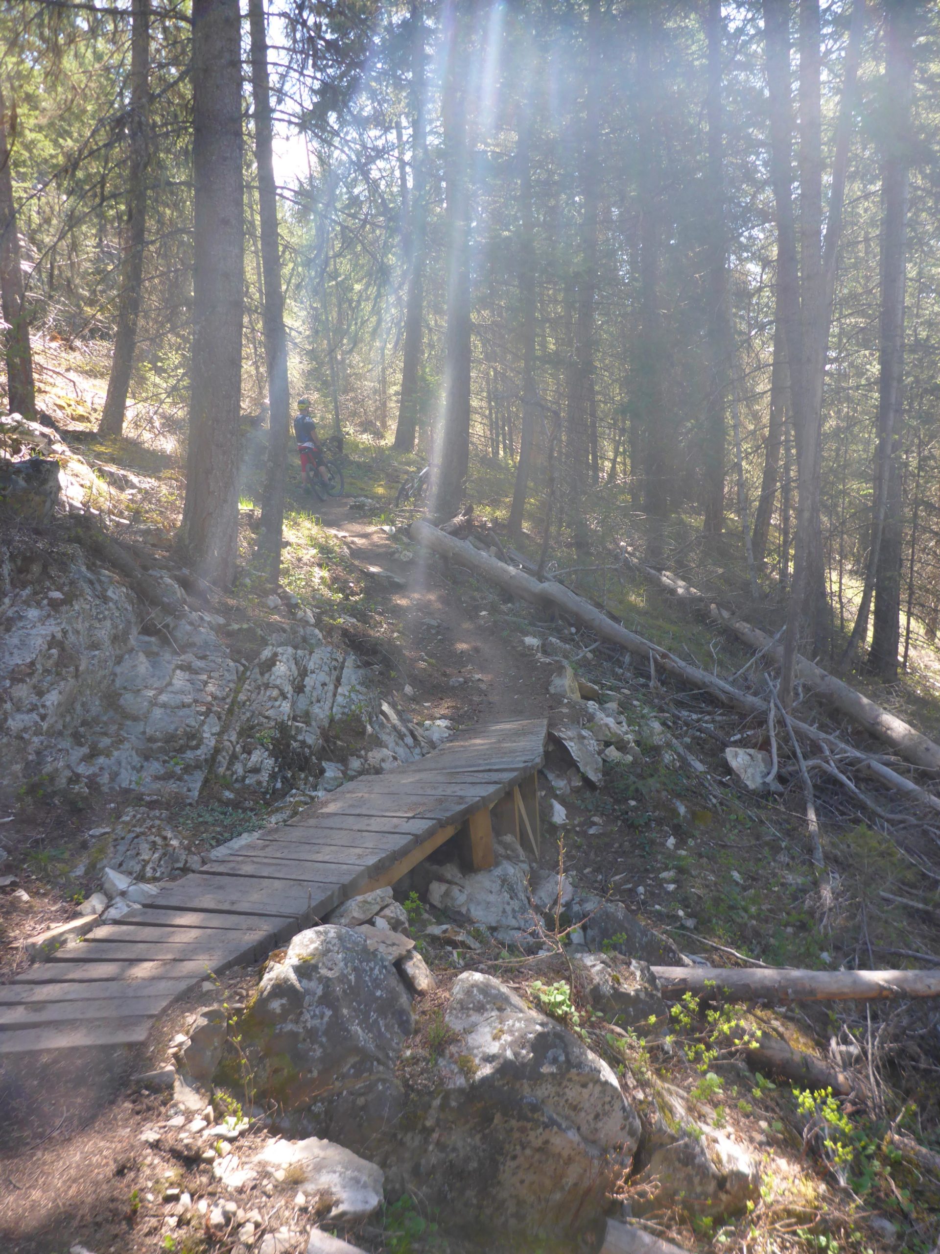 A sunlit forest trail with a wooden bridge crossing over rocky terrain, surrounded by tall trees and dappled sunlight filtering through the canopy. A person on a bicycle is visible in the distance, highlighting the recreational use of the path. Mountain Shadows mountain bike trail.