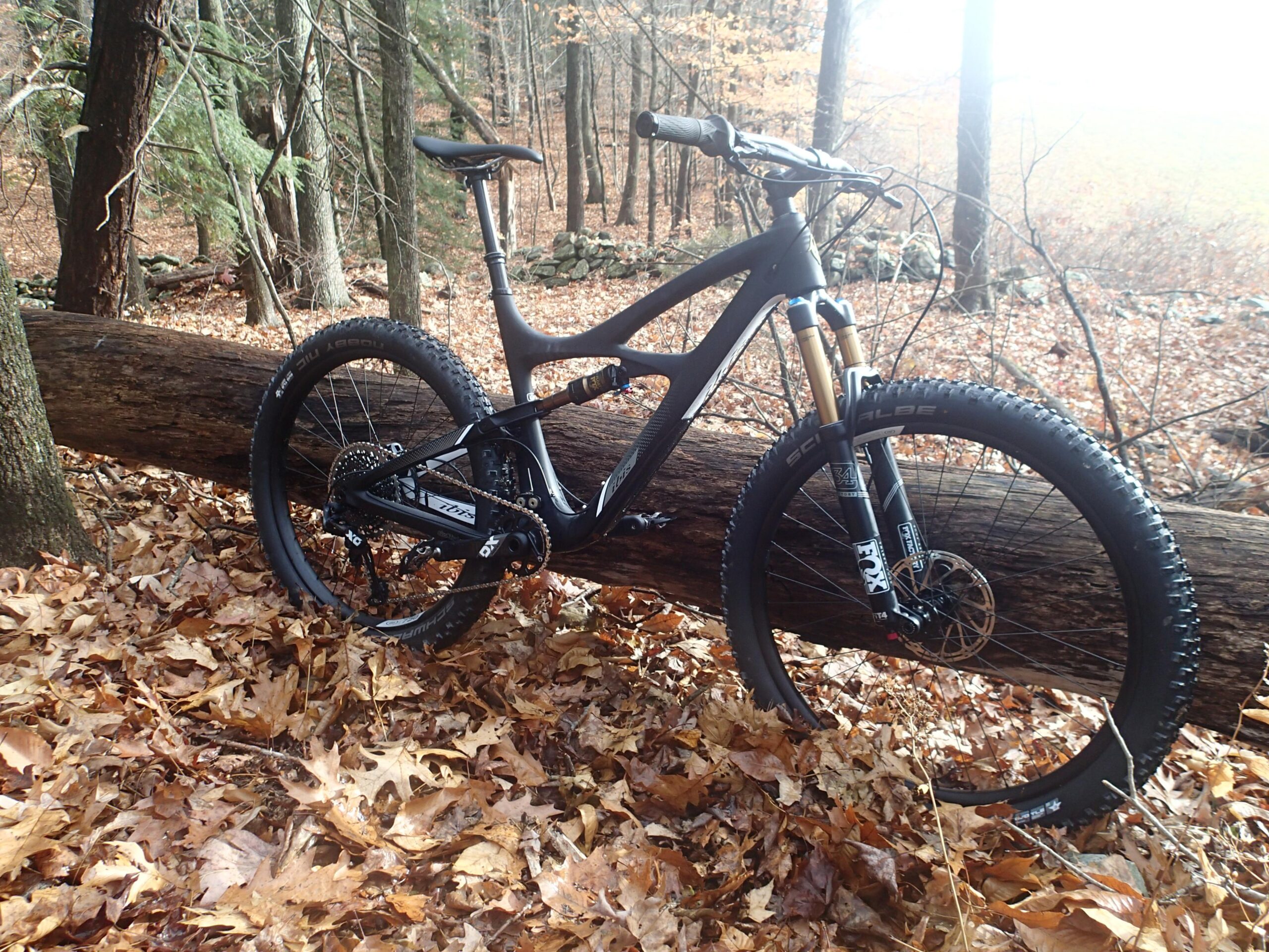 Ibis Mojo 3: A mountain bike leaning against a fallen log in a forest setting, surrounded by autumn leaves. The bike features a black frame with gold accents and thick tires designed for rugged terrain, while the background showcases trees with sparse foliage.