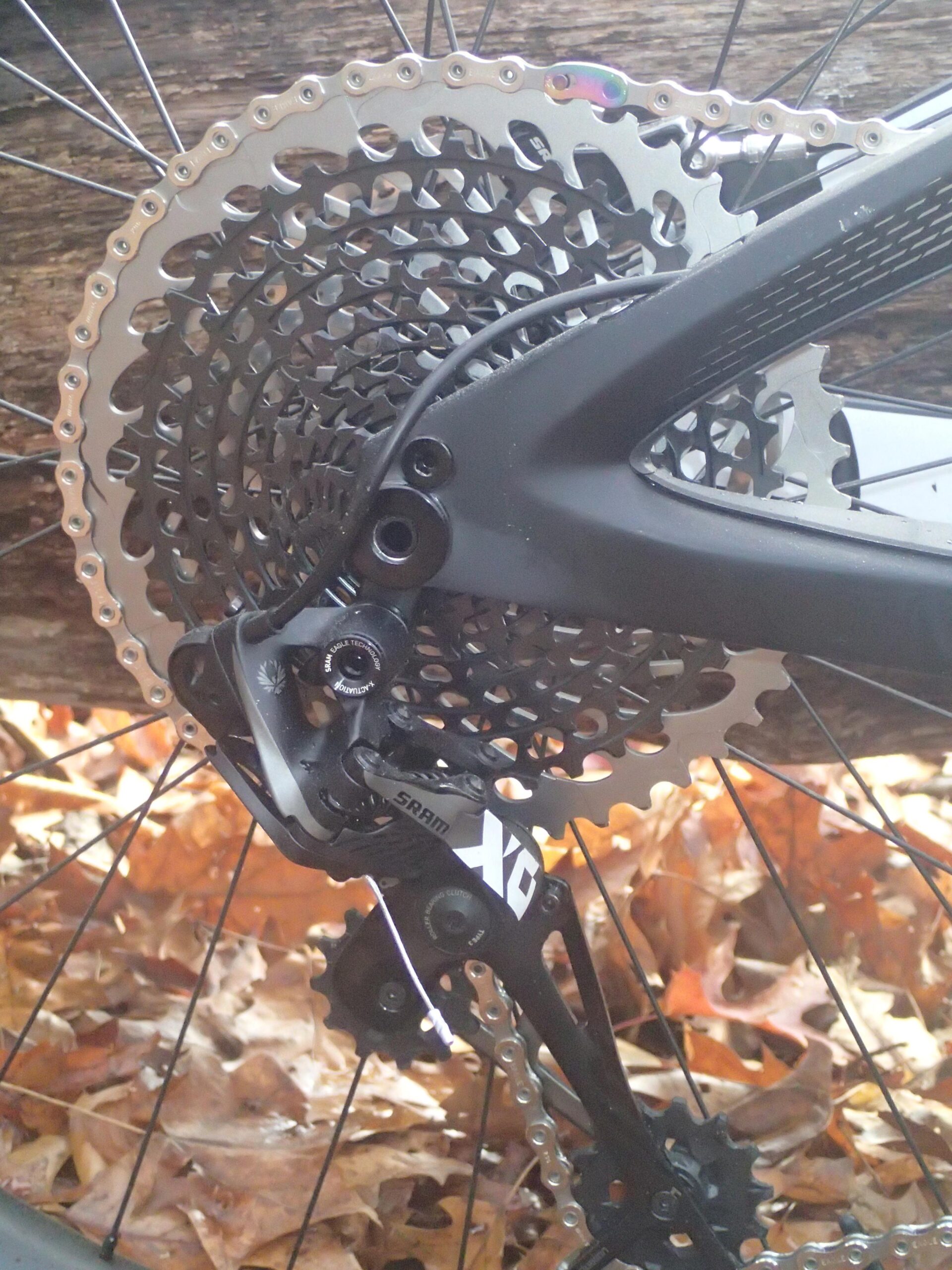 Ibis Mojo 3: Close-up view of a bicycle's rear derailleur and cassette, featuring a SRAM XG component, set against a background of fallen autumn leaves. The image highlights the intricate design of the cassette and the mechanism of the derailleur.