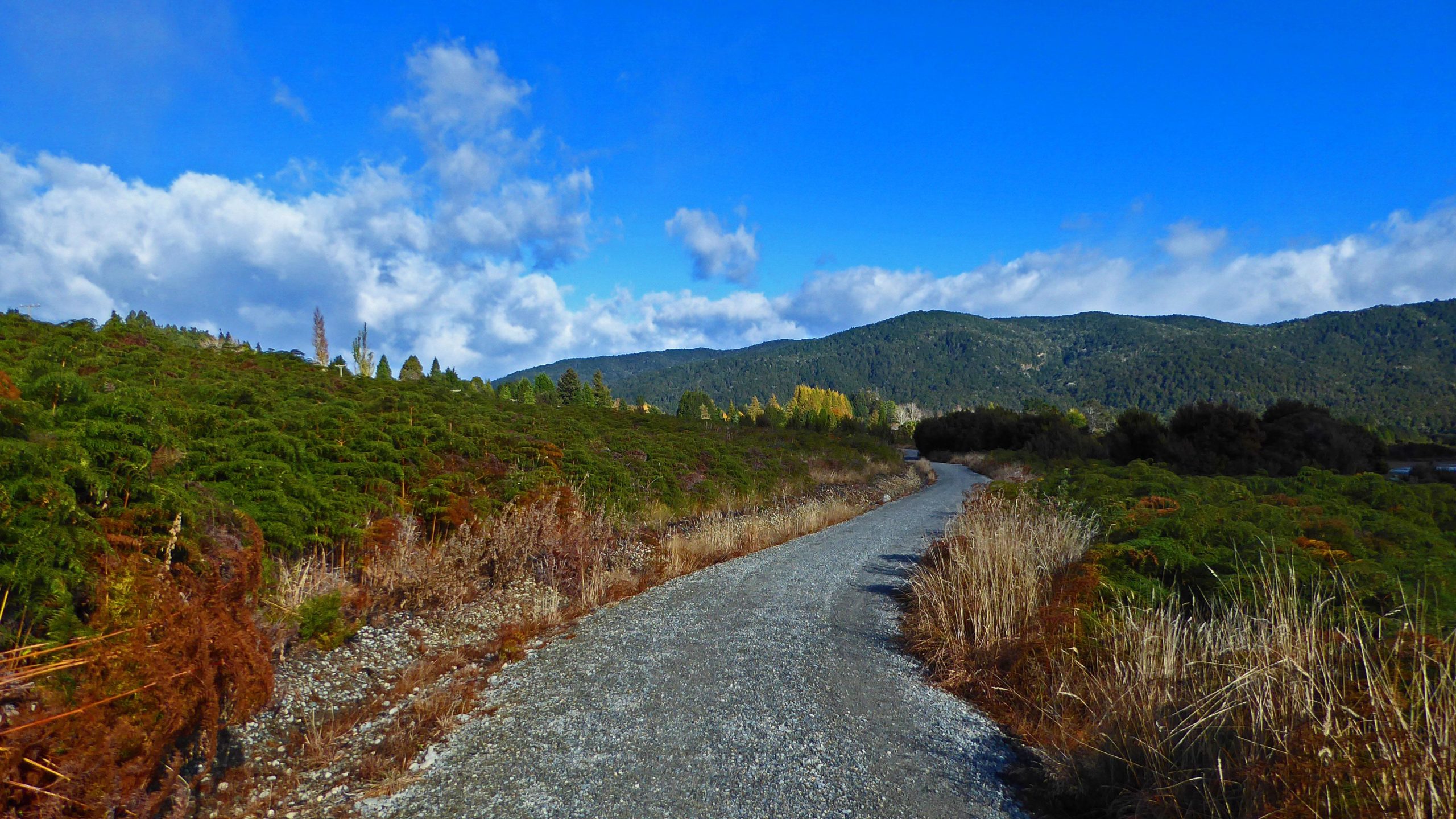 A winding gravel path leads through lush green vegetation, with rolling hills in the background under a bright blue sky dotted with clouds. Te Anau - Manapouri mountain bike trail.