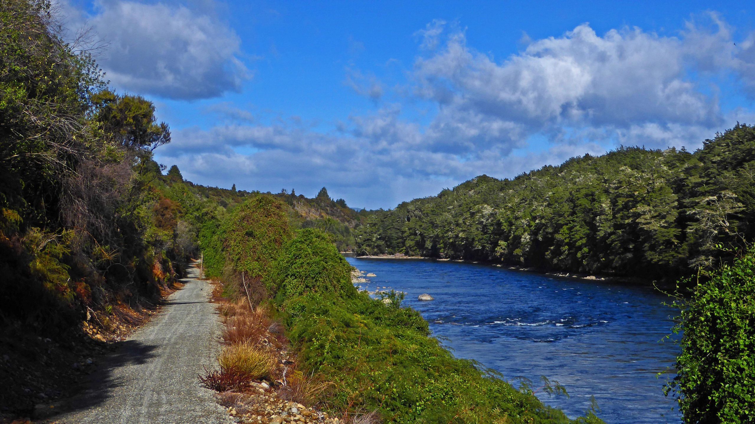 A scenic view of a winding gravel path beside a blue river, flanked by lush greenery and trees under a partly cloudy sky. The landscape features vibrant vegetation along the riverbank, with soft, rolling hills in the background. Te Anau - Manapouri mountain bike trail.