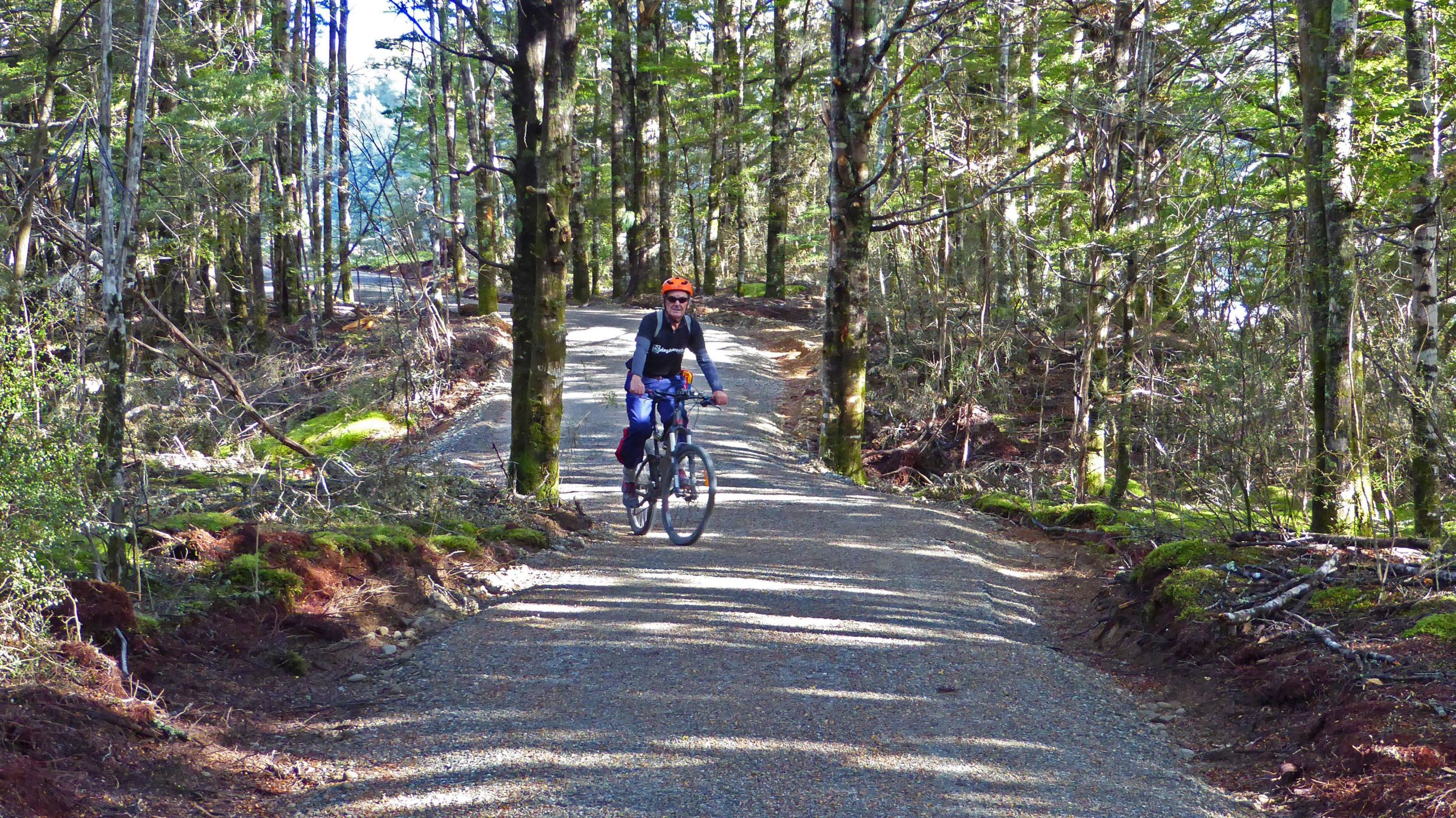 A person cycling on a gravel path surrounded by tall trees and lush greenery, with sunlight filtering through the branches. Te Anau - Manapouri mountain bike trail.