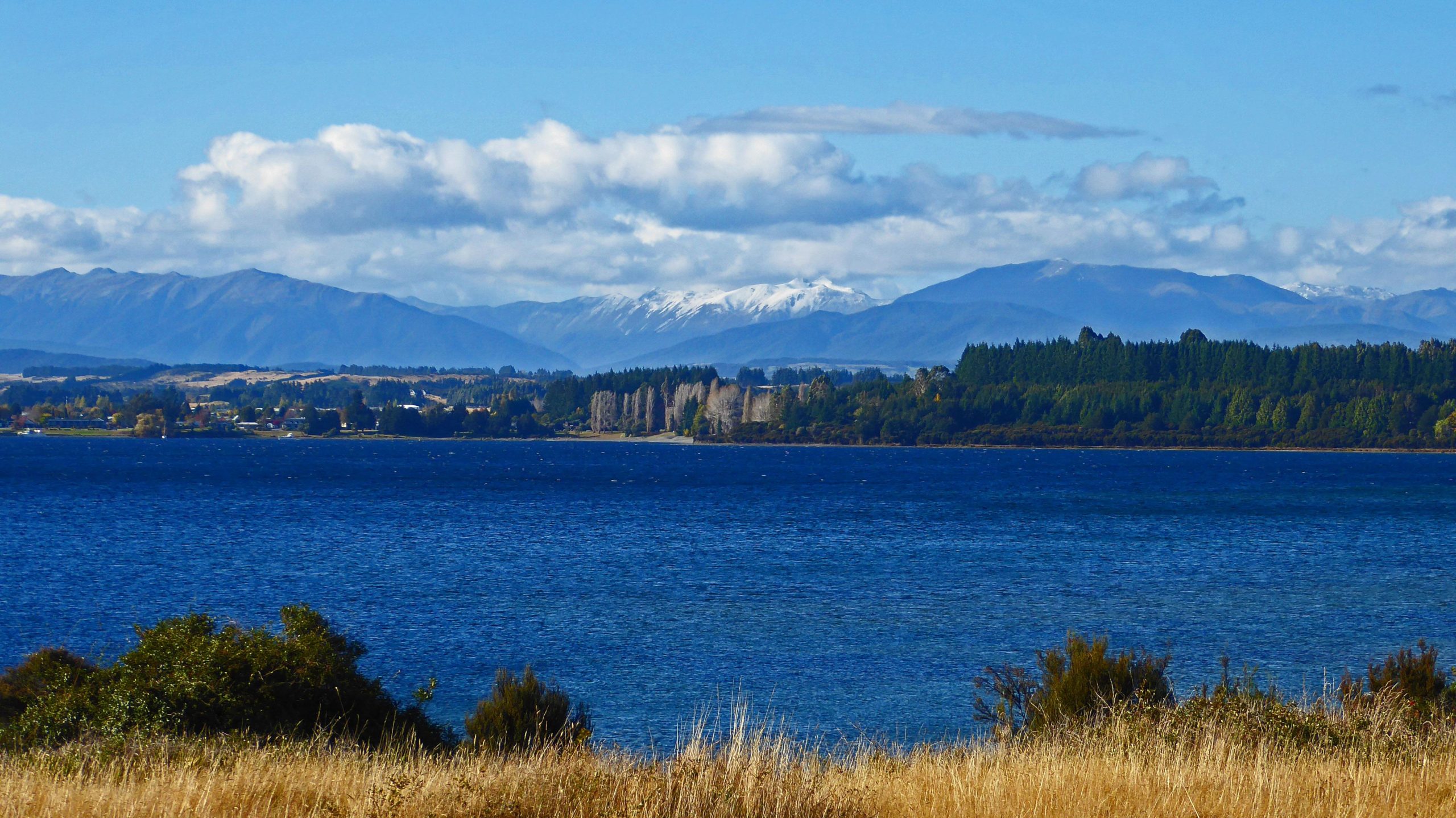 A scenic view of a blue lake surrounded by rolling hills and mountains under a partly cloudy sky. In the background, snow-capped peaks are visible, while the foreground features grassy land and patches of greenery along the shoreline. Te Anau - Manapouri mountain bike trail.