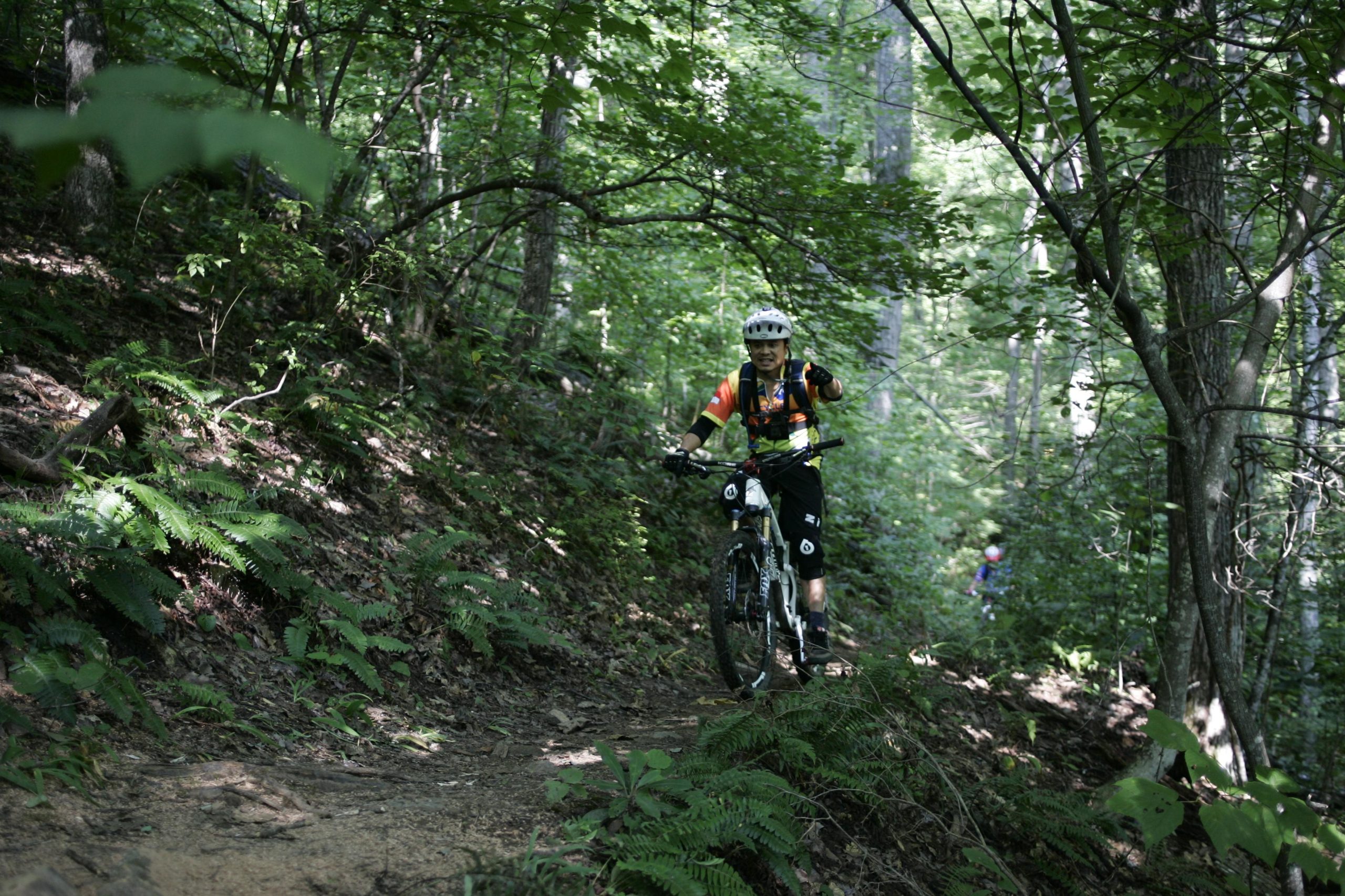 A mountain biker wearing a helmet and colorful jersey rides along a dirt path in a dense forest. They are smiling and giving a thumbs-up gesture, surrounded by green ferns and trees. In the background, another rider is visible on the trail. Laurel Mountain mountain bike trail.