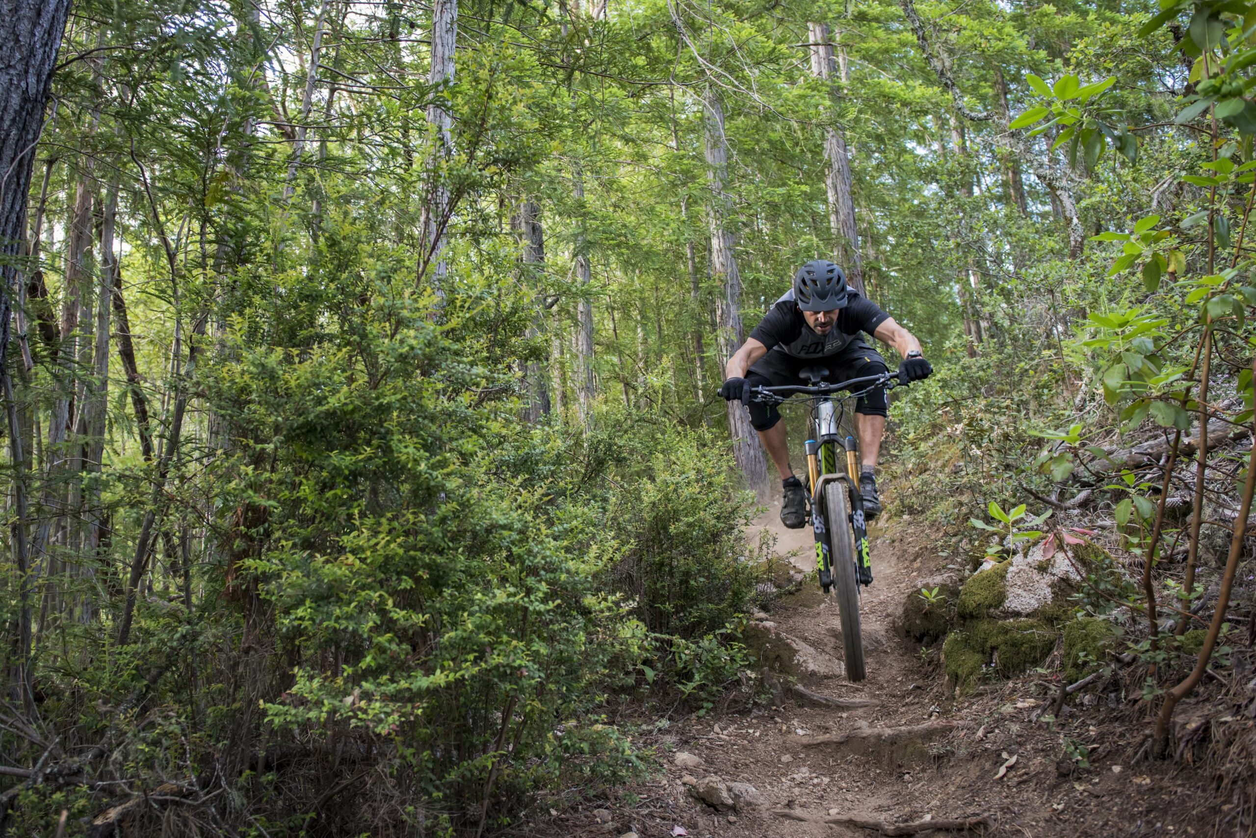 Ibis Mojo HD4: A mountain biker in mid-air, performing a jump on a dirt trail surrounded by lush greenery and tall trees. The biker is wearing a helmet and protective gear, giving an impression of speed and excitement as dust is kicked up from the trail.