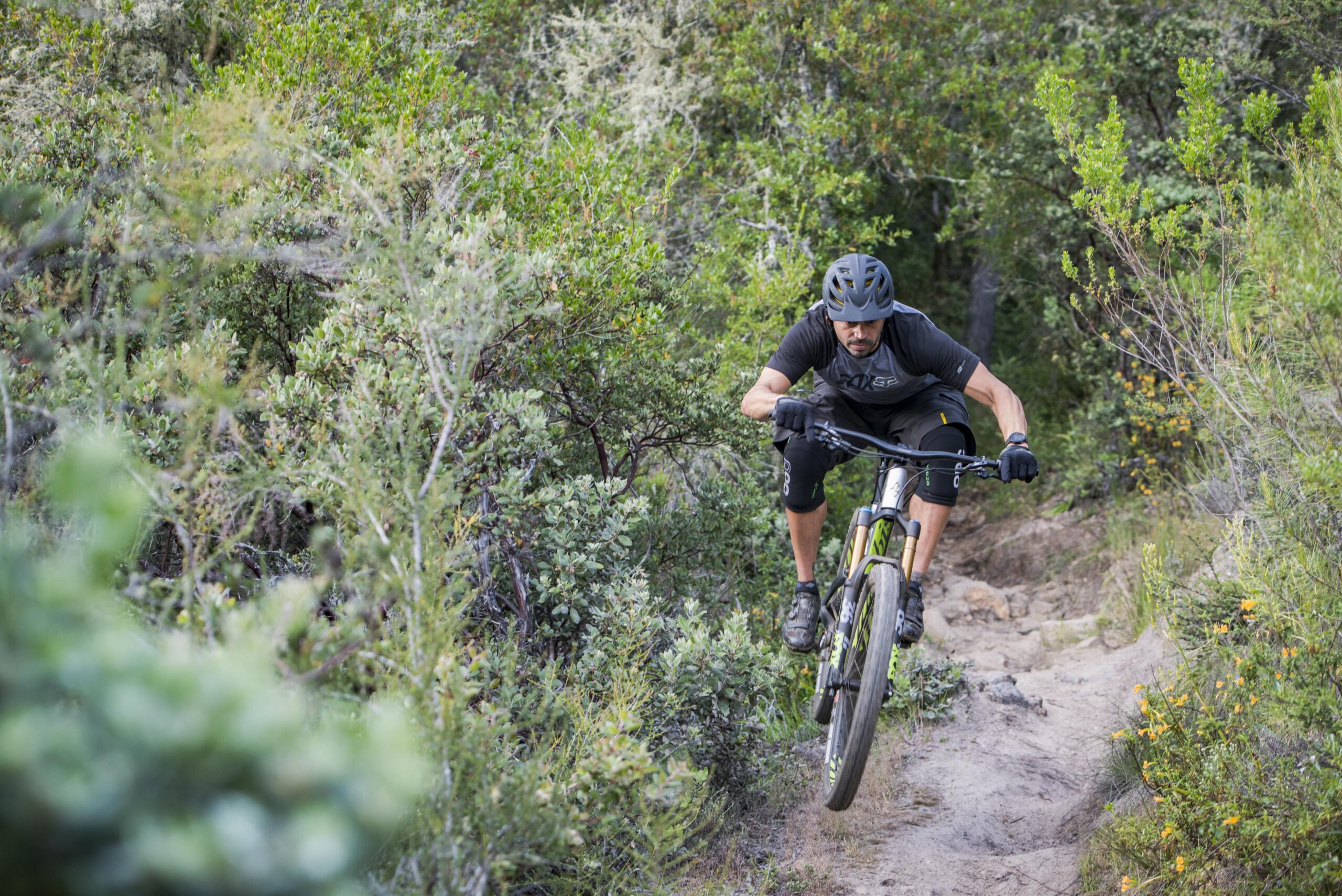 Ibis Mojo HD4: A mountain biker executing a jump on a wooded trail, surrounded by lush greenery and vegetation. The rider is wearing a helmet, gloves, and athletic gear, demonstrating dynamic movement as they navigate the terrain.