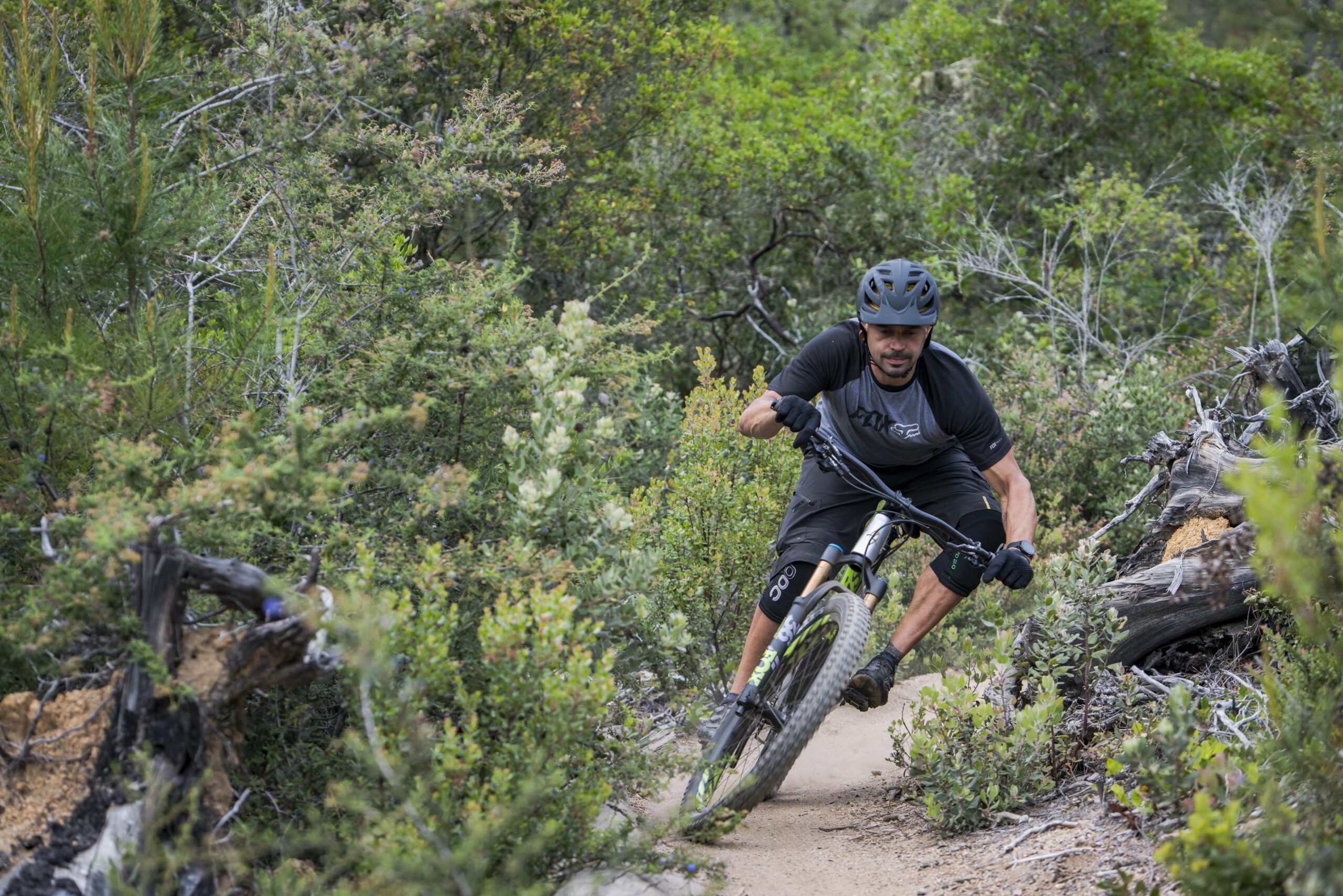 Ibis Mojo HD4: A mountain biker maneuvers through a winding dirt trail surrounded by lush greenery and shrubs. The rider is wearing a helmet and a black and gray athletic outfit, leaning into a turn while the bike's tires kick up dust from the trail.