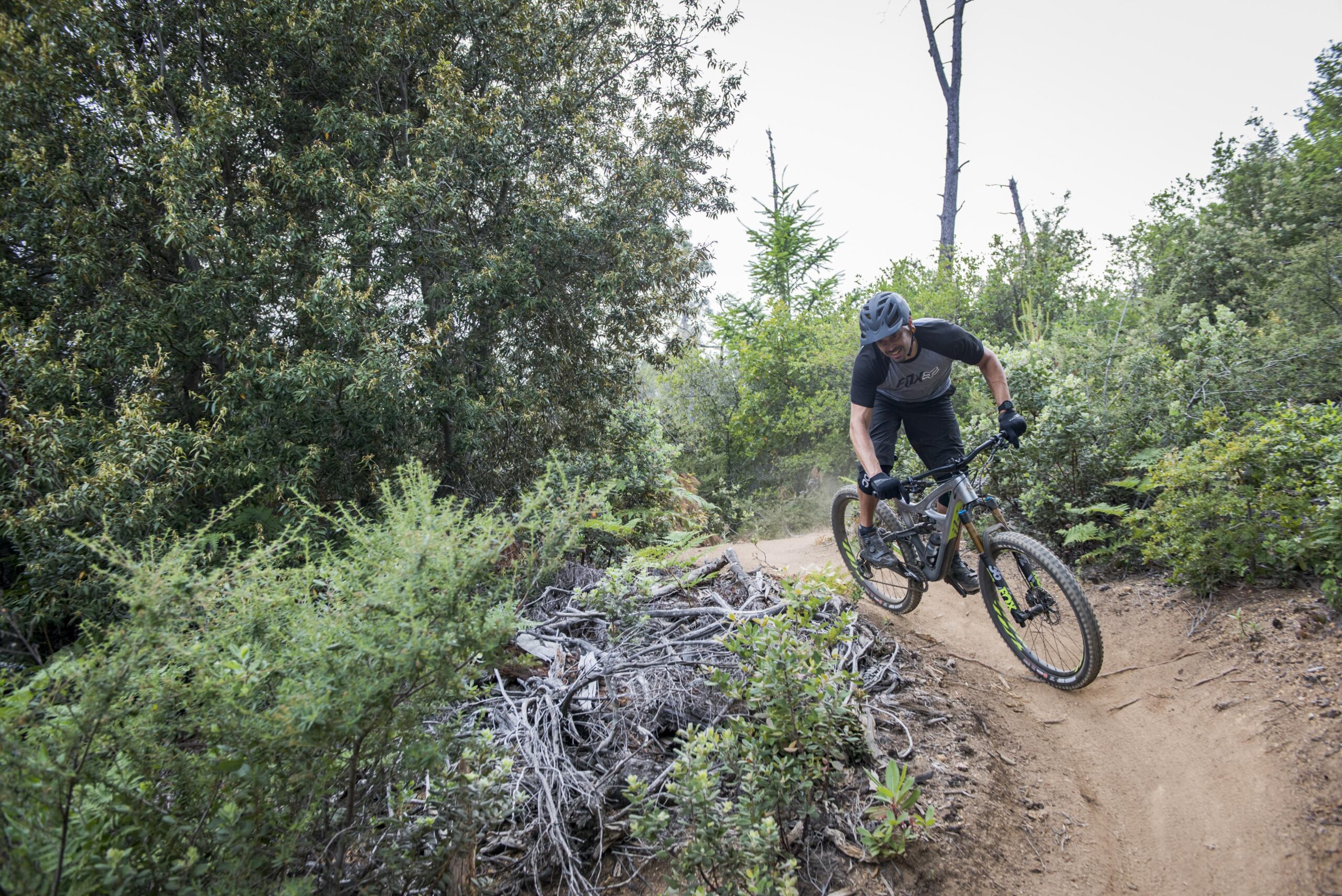 Ibis Mojo HD4: A mountain biker navigating a dirt trail through dense greenery, leaning into a turn while riding a bike designed for off-road terrain. The surrounding landscape features various shrubs and trees, with a pile of branches on the trail.