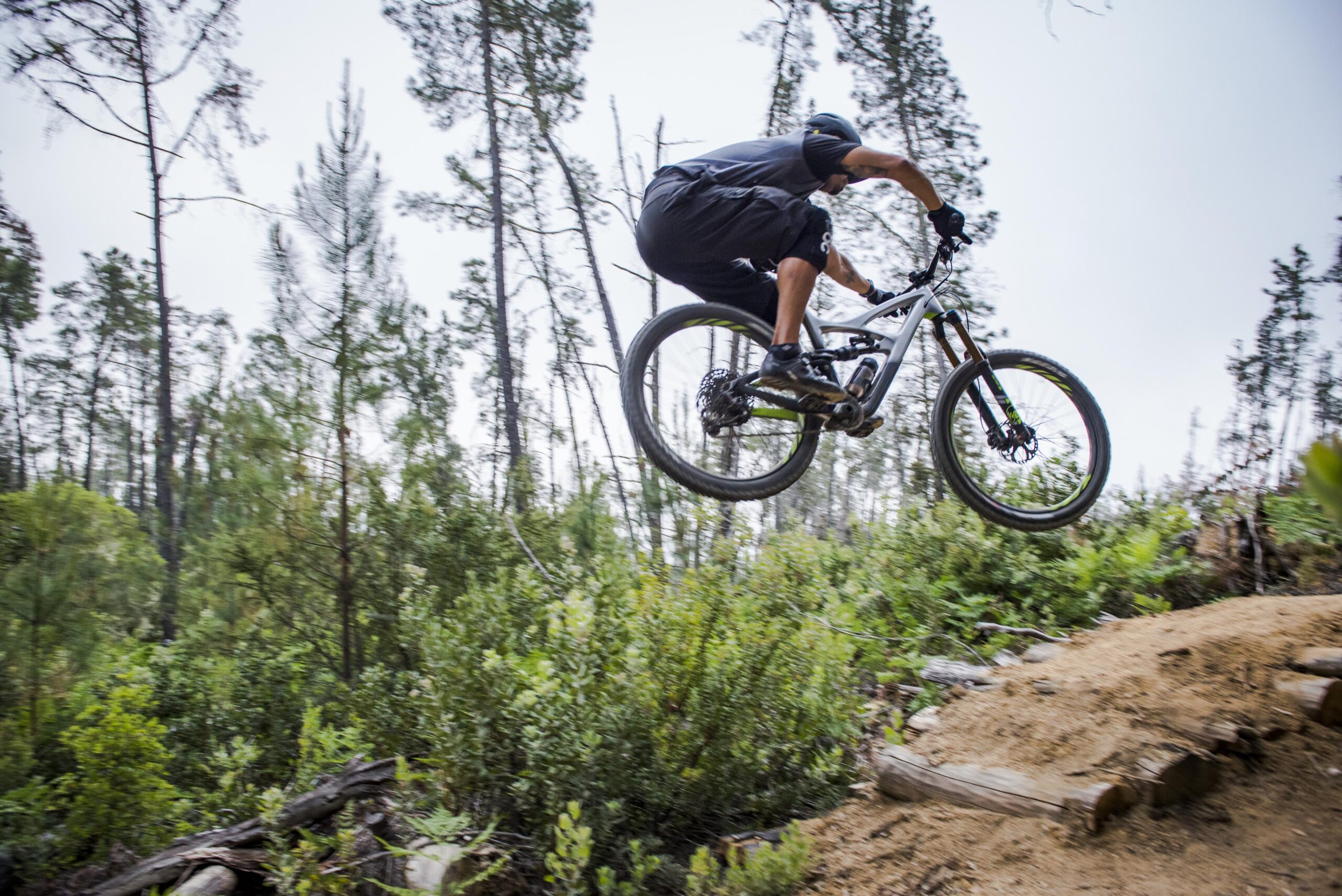 Ibis Mojo HD4: A mountain biker performing a jump on a dirt trail surrounded by trees and greenery. The rider is captured mid-air, showcasing dynamic movement and skill.