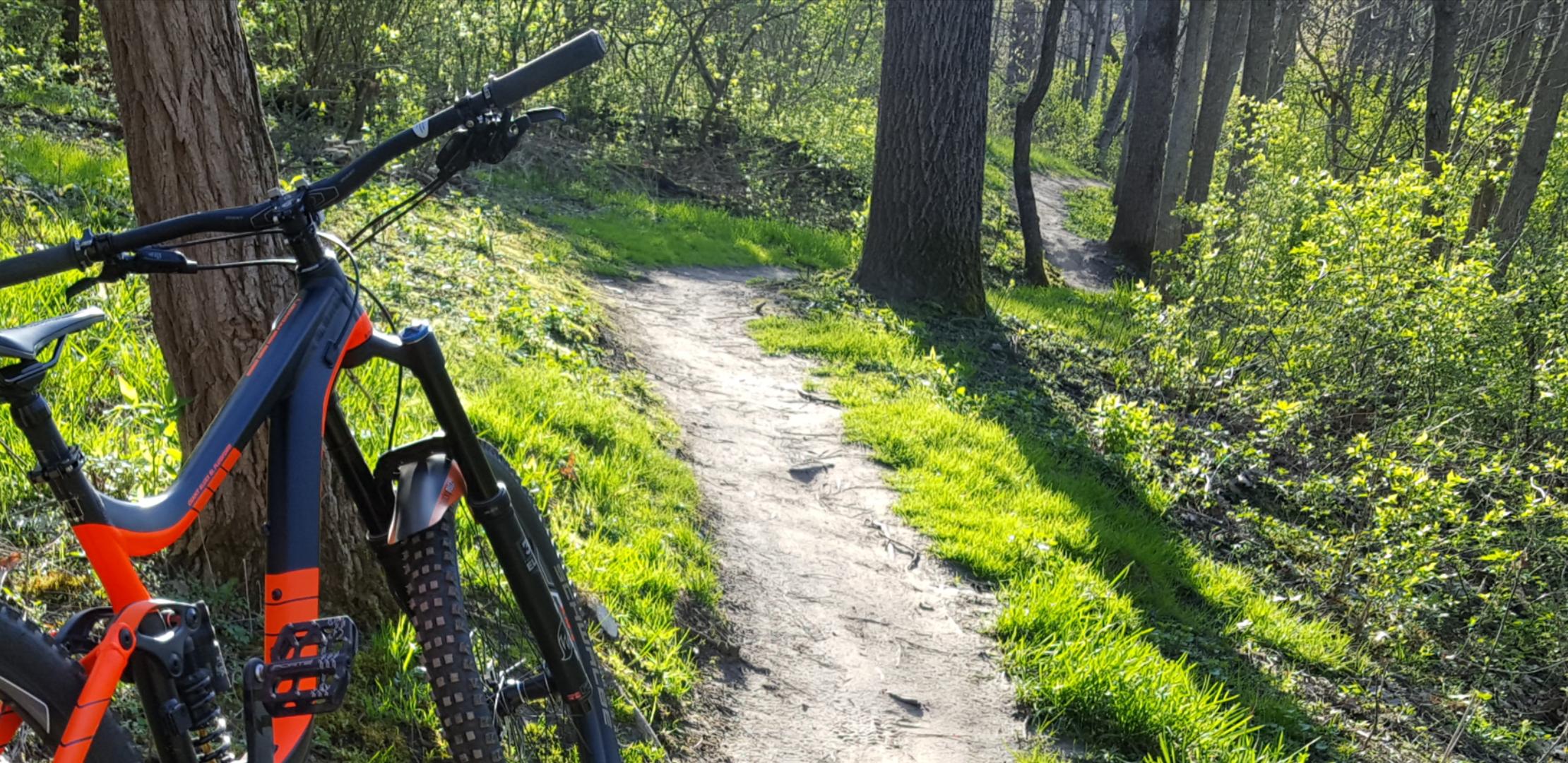 A mountain bike parked next to a dirt path surrounded by lush green grass and trees in a forest setting, with a trail winding off into the distance. Raceway Woods mountain bike trail.