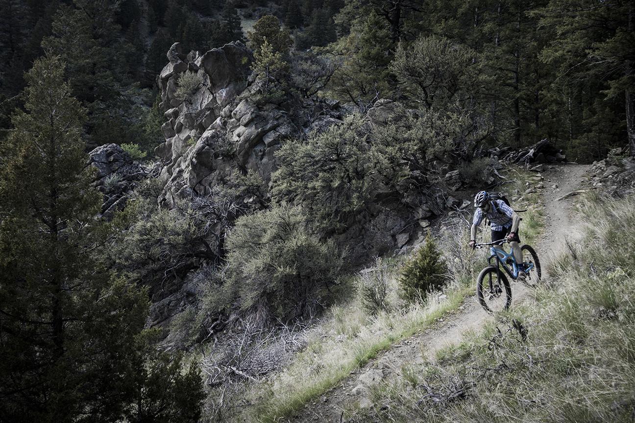 Terrene McFly: A mountain biker navigating a winding dirt trail through a lush, wooded landscape with rocky outcrops and dense greenery. The scene captures the essence of outdoor adventure and the beauty of nature.