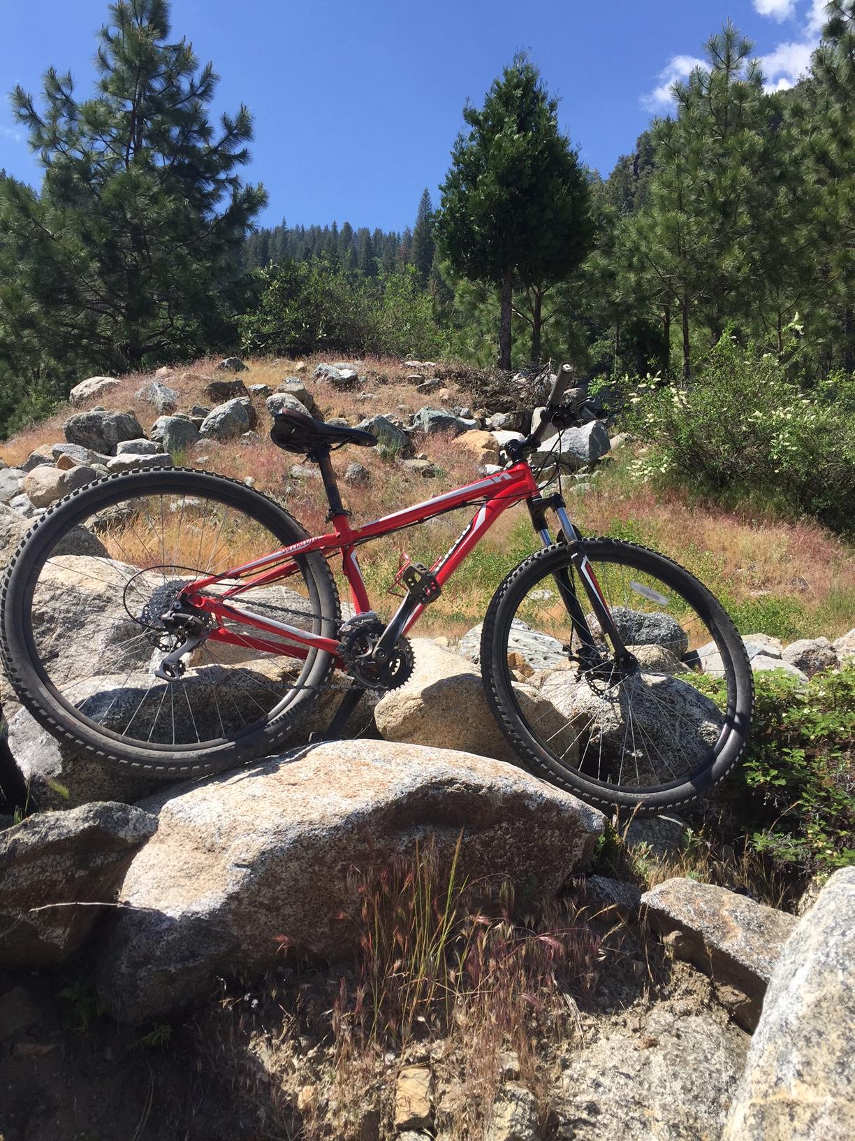 Specialized Hardrock Sport Disc 29er: A red mountain bike leaning against large rocks, set in a natural landscape with green trees and blue skies. The scene reflects a sunny day in a mountainous area, showcasing a mix of rocky terrain and vegetation.