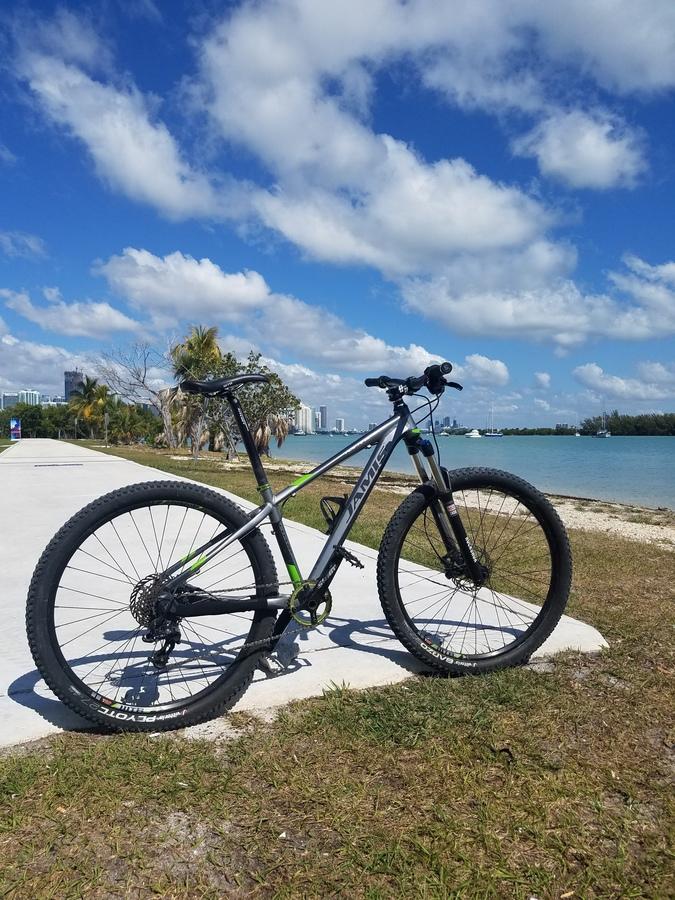 Jamis Nemesis: A mountain bike parked on a paved path near a body of water, under a bright blue sky with fluffy clouds. Palm trees and city buildings can be seen in the background, creating a scenic outdoor setting.