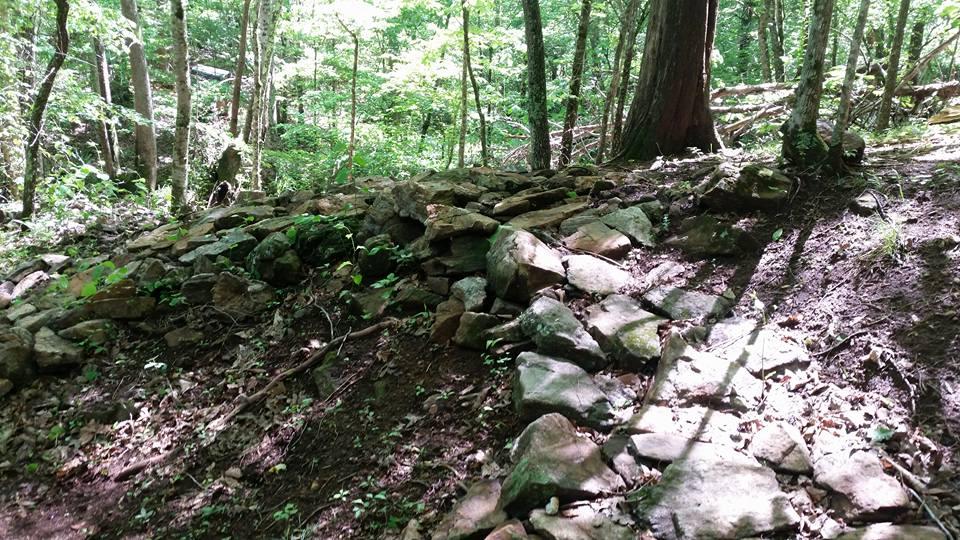 A rocky formation covered with moss and surrounded by leafy green trees in a sunlit forest. The ground is uneven, and shadows are cast by the trees. Small plants and undergrowth are visible around the edges of the rocks. Mountain Laurel Trails mountain bike trail.