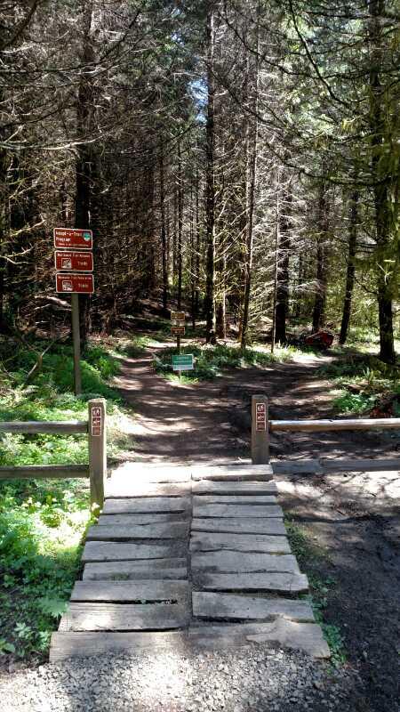 A wooden bridge leading into a forested area with tall trees and lush green vegetation. There are trail signs posted to the left, indicating directions or information about the trails. The path splits into two, inviting exploration into the serene natural environment. Stub Steward State Park mountain bike trail.