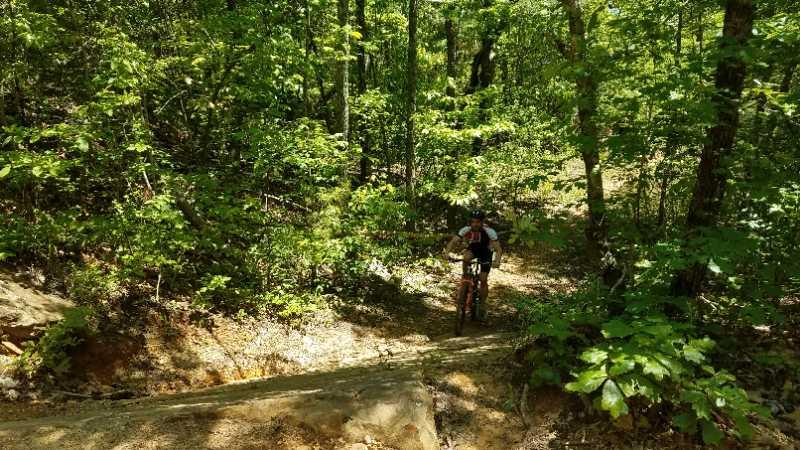 A person riding a mountain bike on a narrow path through a lush green forest. The scene is filled with sunlight filtering through the trees, highlighting the vibrant foliage surrounding the trail. Bauxite Ridge mountain bike trail.