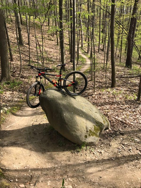 A mountain bike rests on a large boulder beside a winding dirt trail, surrounded by lush green trees in a forest setting. The ground is covered with leaves, indicating early spring, and the sunlight filters through the foliage, casting dappled shadows on the path. Addison Oaks mountain bike trail.