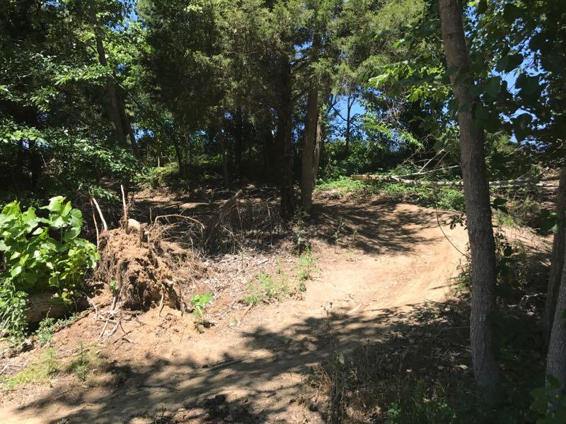 A dirt path winding through a wooded area with sparse vegetation, surrounded by trees and some uprooted foliage. Sunshine filters through the leaves, creating a mix of light and shadows on the ground. Horry County Bike Run Park mountain bike trail.