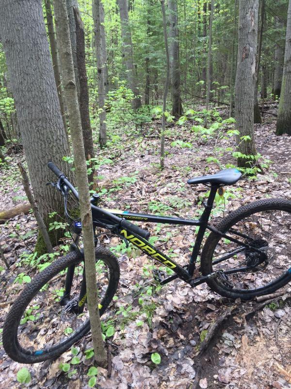 A mountain bike leaning against a tree in a forested area, surrounded by green foliage and scattered leaves on the ground. The bike has a black frame with yellow accents. Midhurst mountain bike trail.