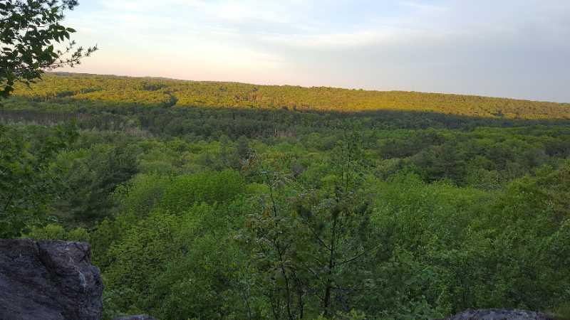 A scenic view of a lush, green forest under a clear sky, captured from a rocky outcrop. The landscape features rolling hills covered in dense foliage, with sunlight illuminating the treetops. Wells State Park mountain bike trail.