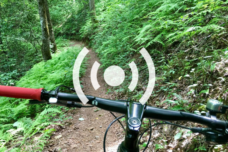 Close-up view of a mountain bike's handlebars on a wooded trail, surrounded by lush green foliage and ferns. A winding dirt path is visible ahead, indicating a biking route.