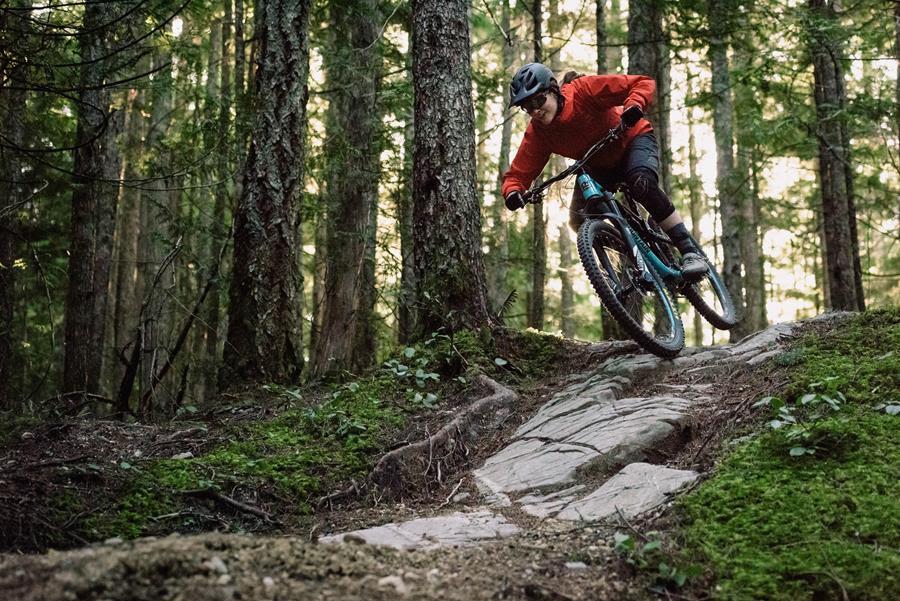 Rocky Mountain Altitude: A cyclist wearing a red long-sleeve jersey and black shorts navigates a rocky trail in a dense forest. Sunlight filters through the trees, illuminating the lush greenery and moss covering the ground. The rider leans into a turn, showcasing their mountain biking skills on the uneven terrain.