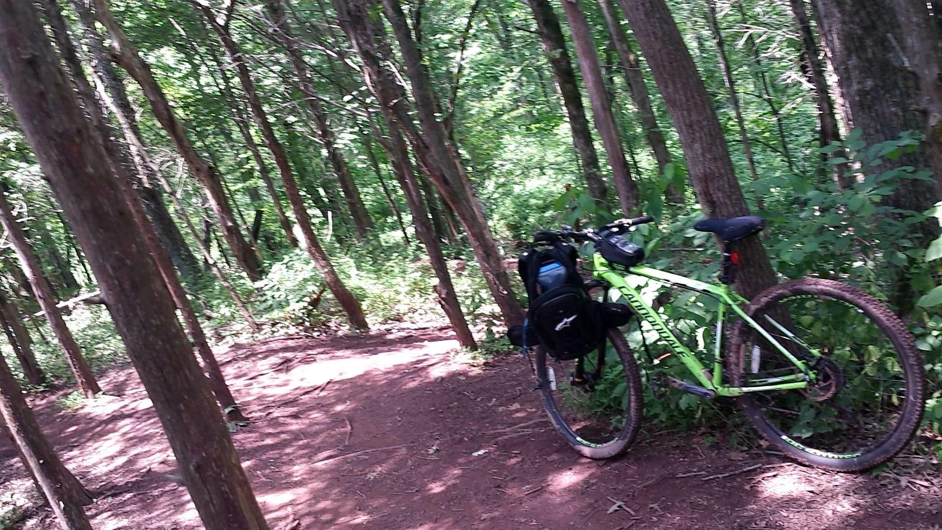 A green mountain bike parked on a dirt trail surrounded by tall trees and dense foliage. The scene captures a peaceful moment in a wooded area, with sunlight filtering through the leaves. Six Mile Run mountain bike trail.