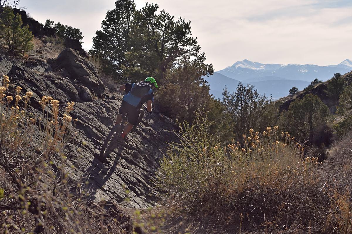 Niner RIP 9: A mountain biker navigates a rocky trail in a mountainous landscape, surrounded by greenery and wildflowers, with snow-capped peaks visible in the distance under a clear sky.