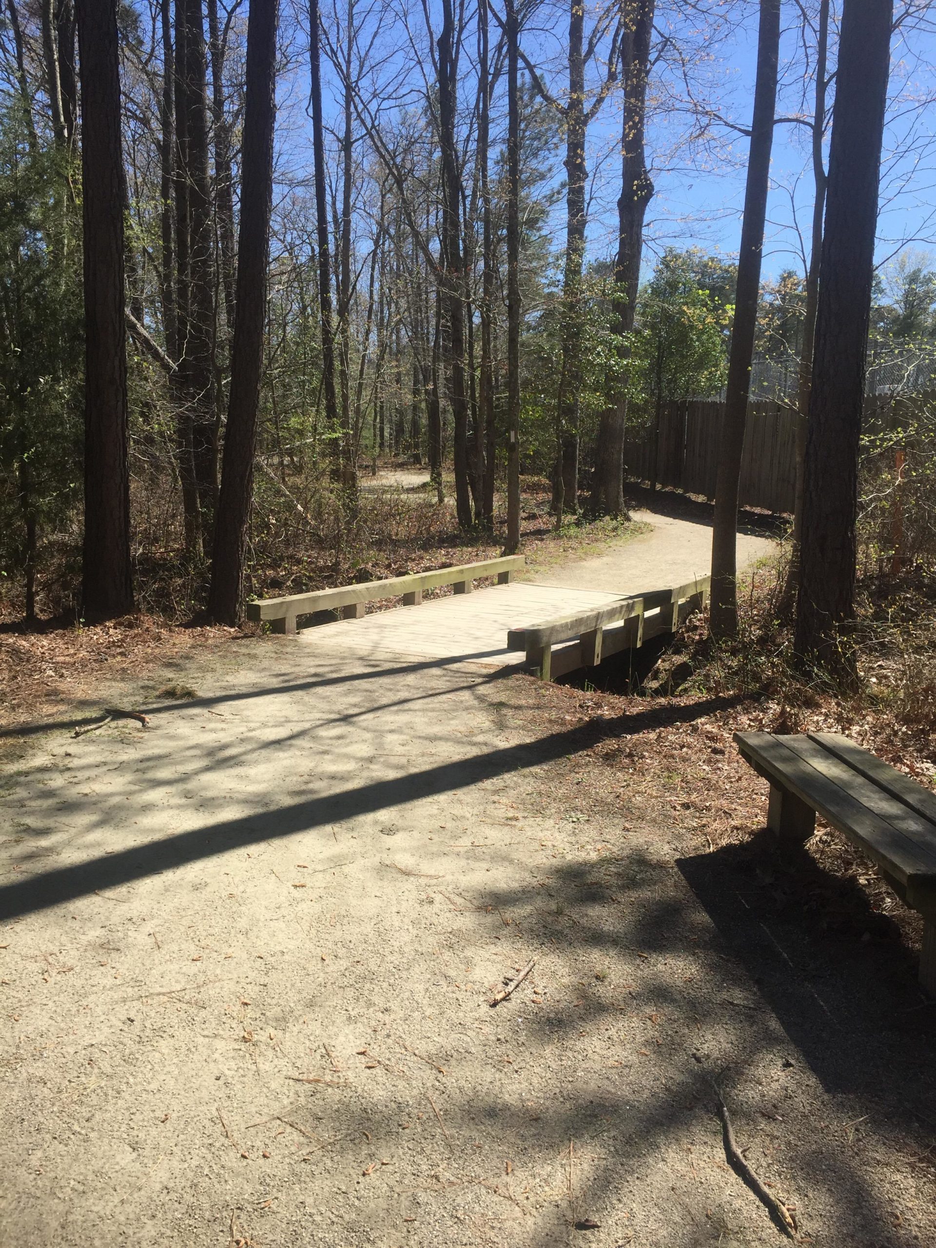 A serene forest path surrounded by tall, leafless trees under a clear blue sky. The path is made of light-colored wood and curves gently, leading into the woods. A wooden bench is visible on the right side, providing a spot to rest, while the ground is covered with fallen leaves and twigs. Sunlight filters through the trees, casting shadows on the path. Loop Trail - White Blaze mountain bike trail.