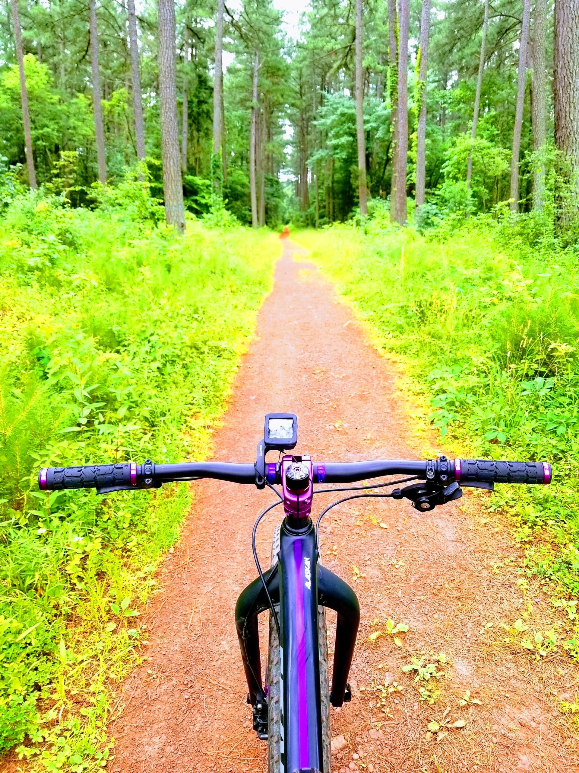 A view from the handlebars of a mountain bike on a narrow, winding trail surrounded by lush green foliage and tall trees. The path is composed of reddish-brown dirt, and a small digital display is visible on the handlebars. Conway Robinson State Forest mountain bike trail.