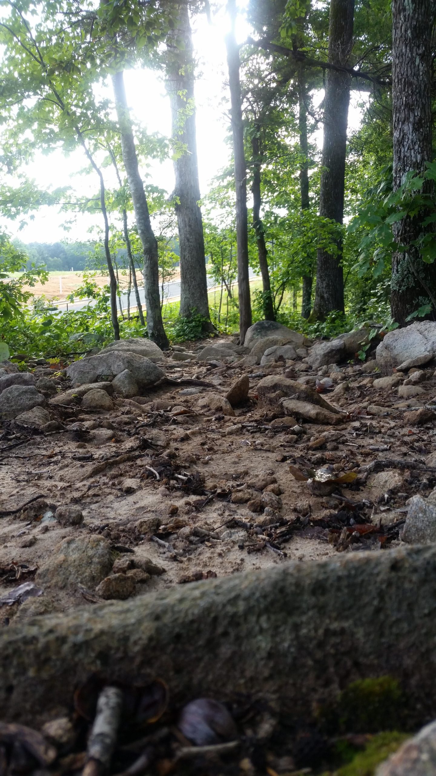 A rocky, dirt path winding through a forest with trees on either side, illuminated by sunlight filtering through the leaves. In the background, a glimpse of a grassy area and a road can be seen. Briar Chapel mountain bike trail.