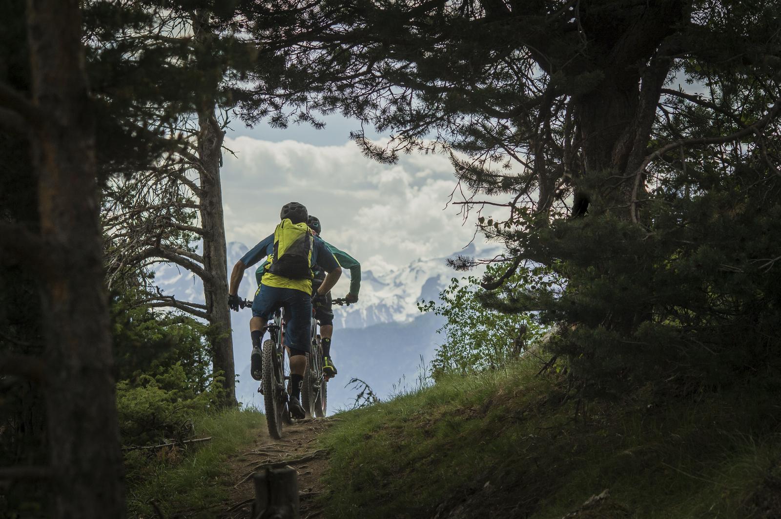 Scott Genius: Two mountain bikers riding along a narrow dirt trail surrounded by trees, with a backdrop of snow-capped mountains under a cloudy sky.