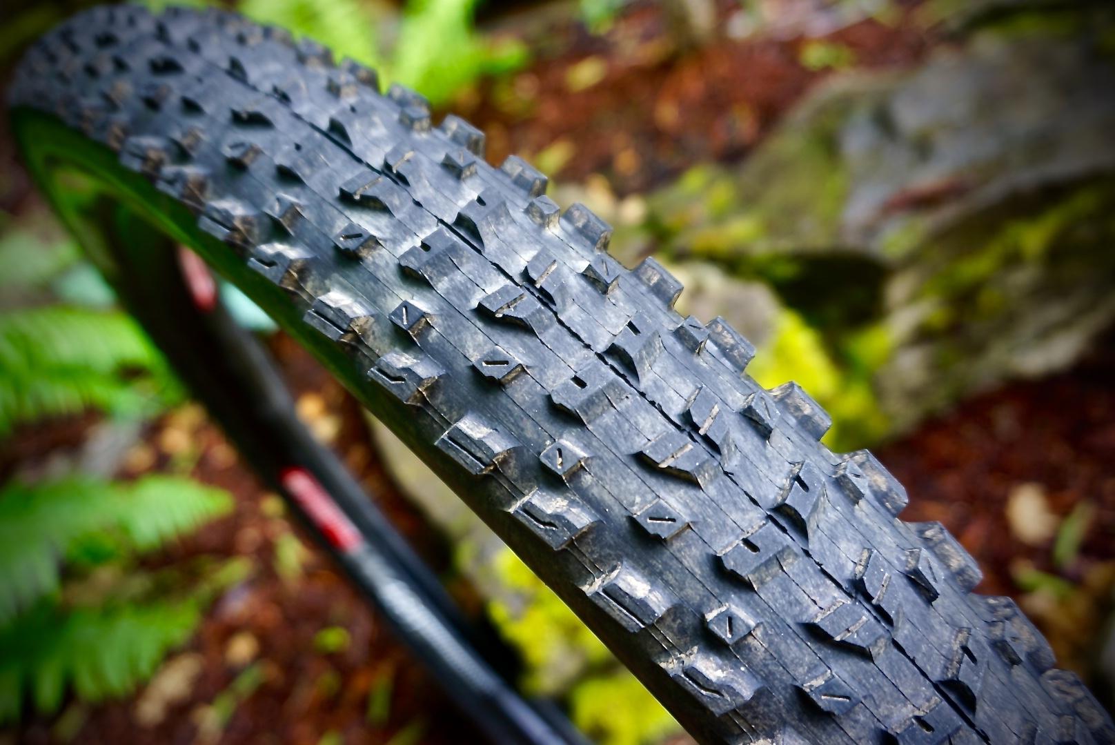 Maxxis Rekon: Close-up of a mountain bike tire tread, showcasing its rugged, textured design with distinct patterns for grip, set against a blurred natural background of ferns and rocks.