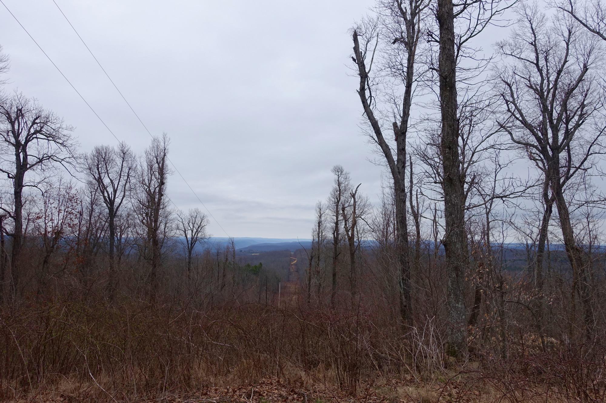 A panoramic view of a wooded landscape with bare trees and a cloudy sky. The scene shows a dirt road winding through the forested area, leading towards distant rolling hills and mountains in the background. Upper Buffalo Headwaters Trail System mountain bike trail.