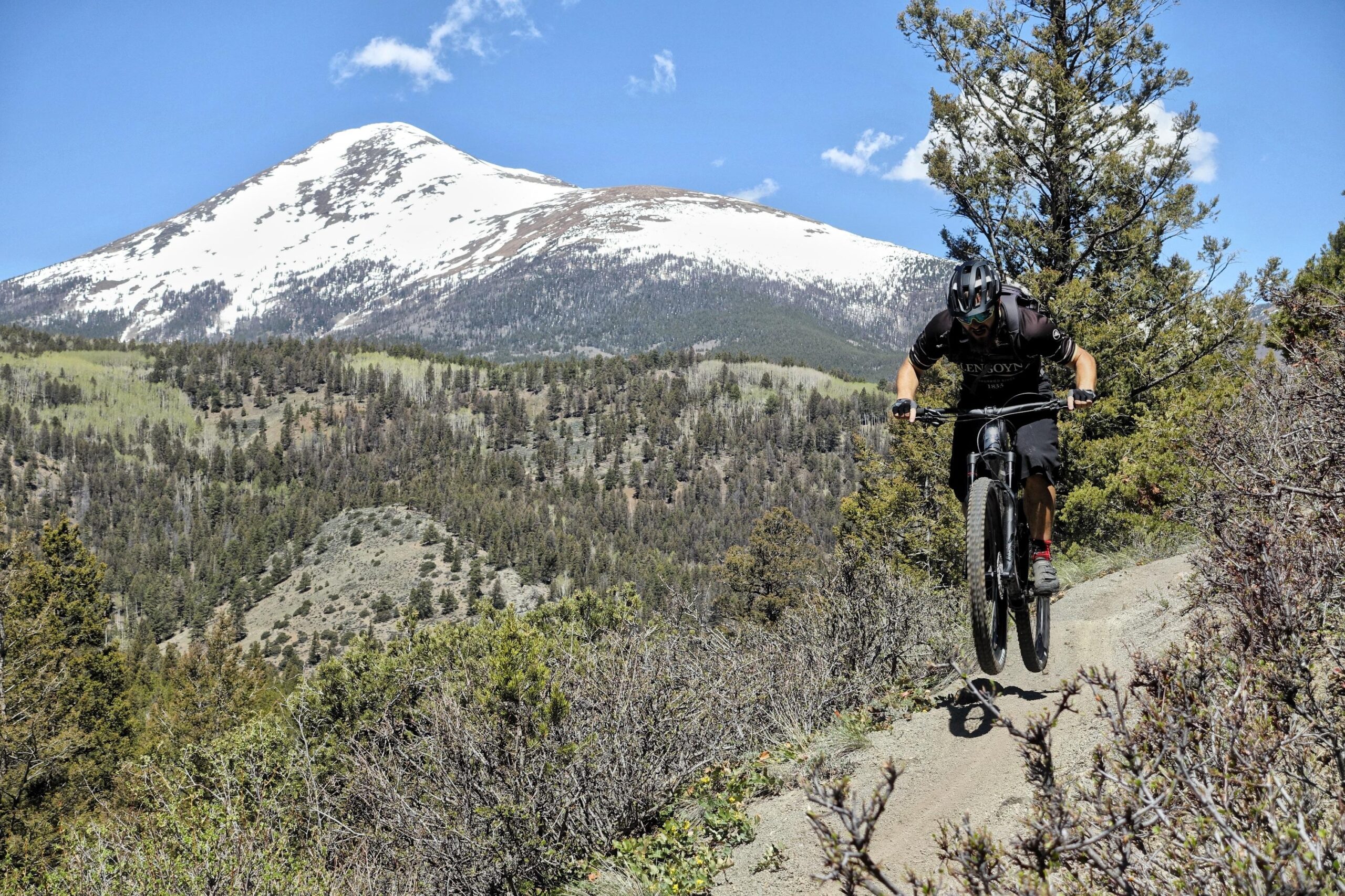 Niner RIP 9: A mountain biker performing a jump on a dirt trail, with a snow-capped mountain and blue sky in the background. Lush greenery and trees surround the trail, showcasing a vibrant outdoor setting.