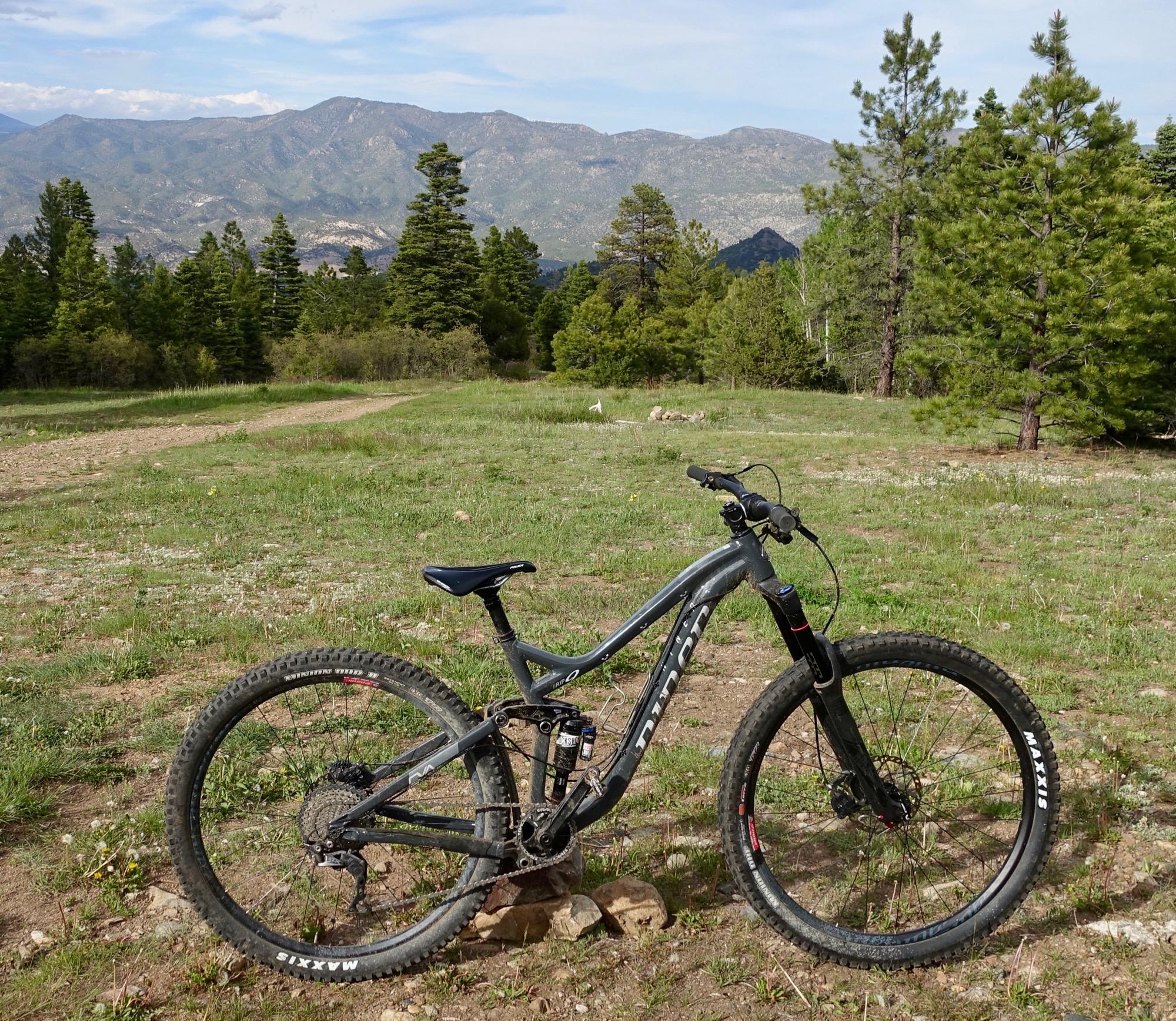 Niner RIP 9: A mountain bike is parked on a grassy trail surrounded by pine trees, with a backdrop of mountains under a partly cloudy sky.